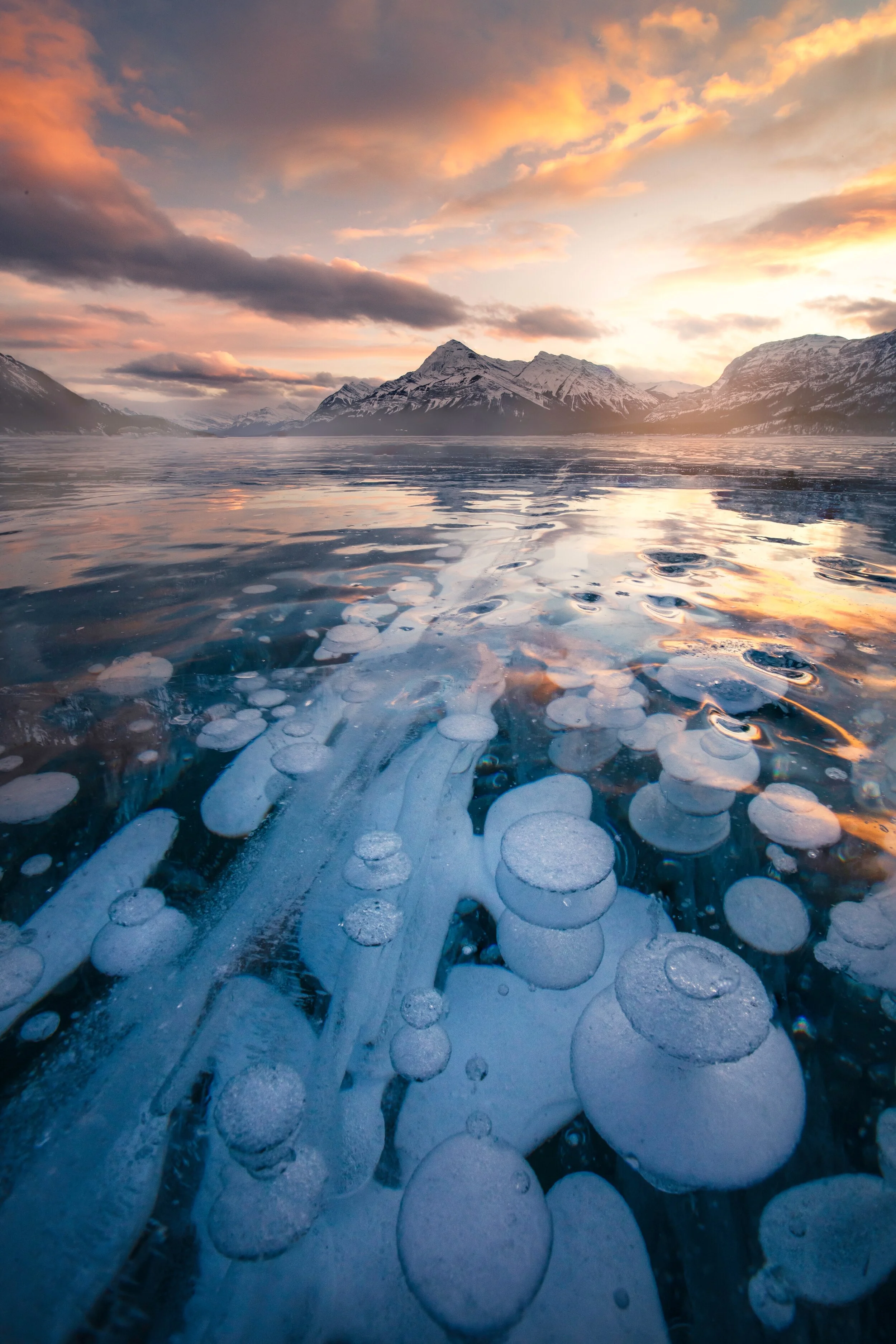 Champagne Sunset, Abraham Lake