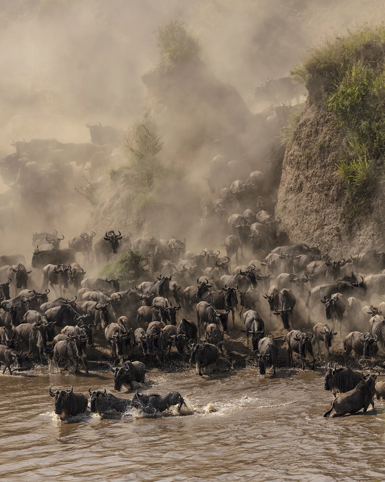 GREAT MARA CROSSING.jpg