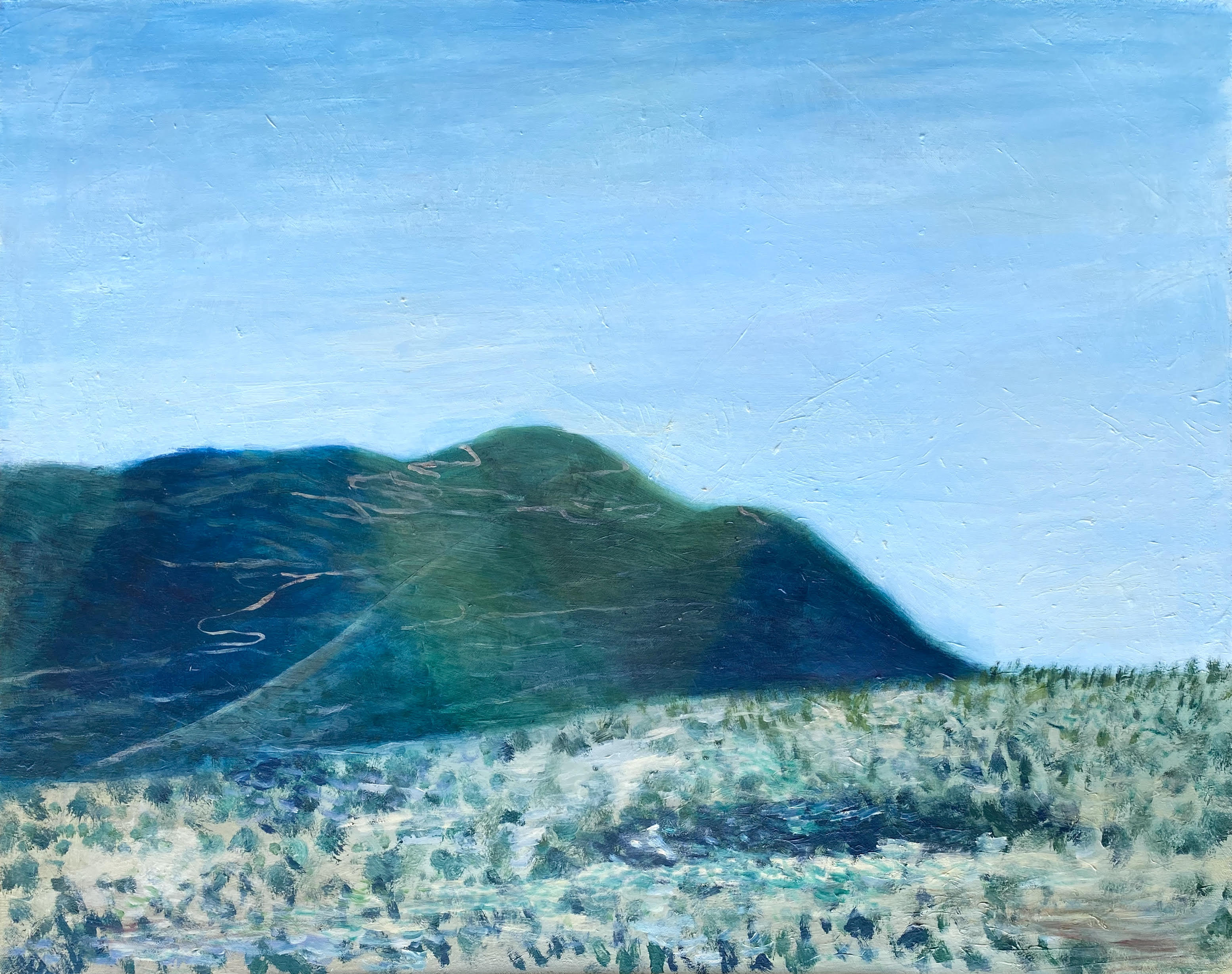 Distant Paths by Rachel Forrest