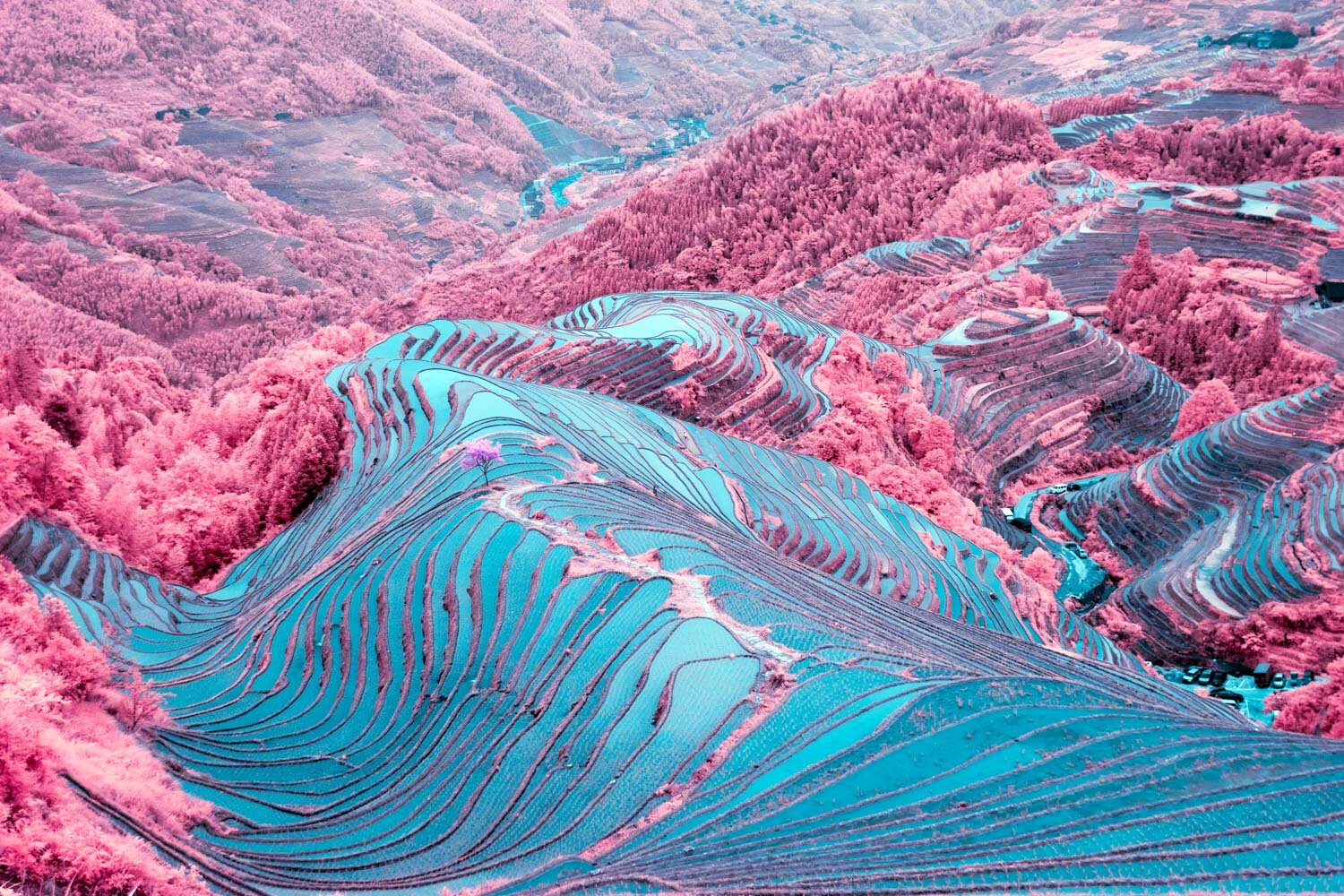 The Dragon's Backbone by Jack Seikaly