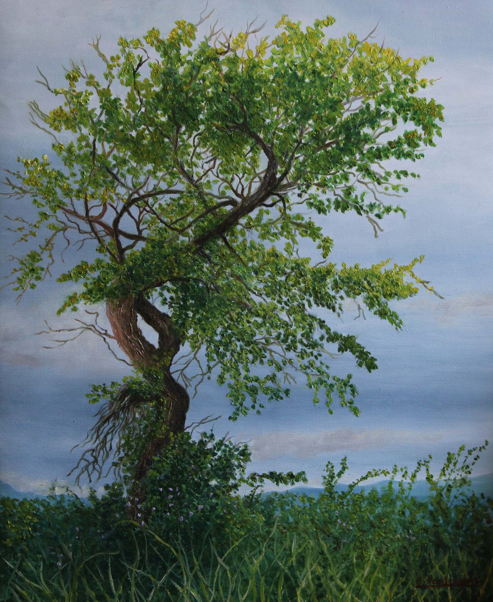 Lone Tree by Christina Poulengeris