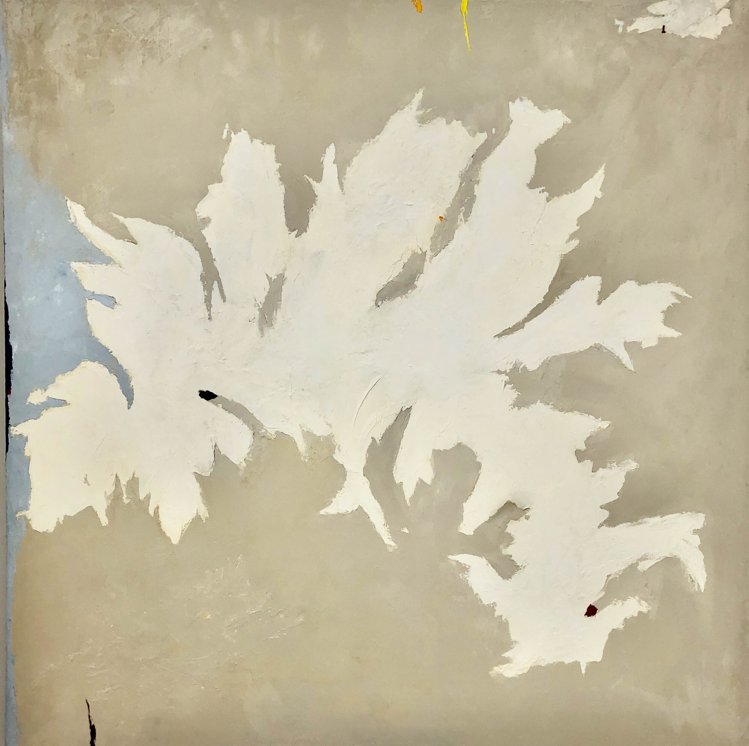 Seaside by Laura Welshans