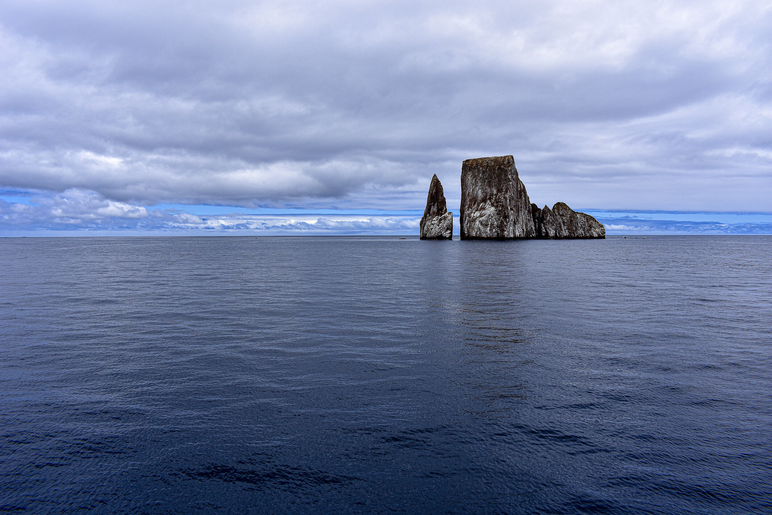 Galapagos by Francesco De Bernardis