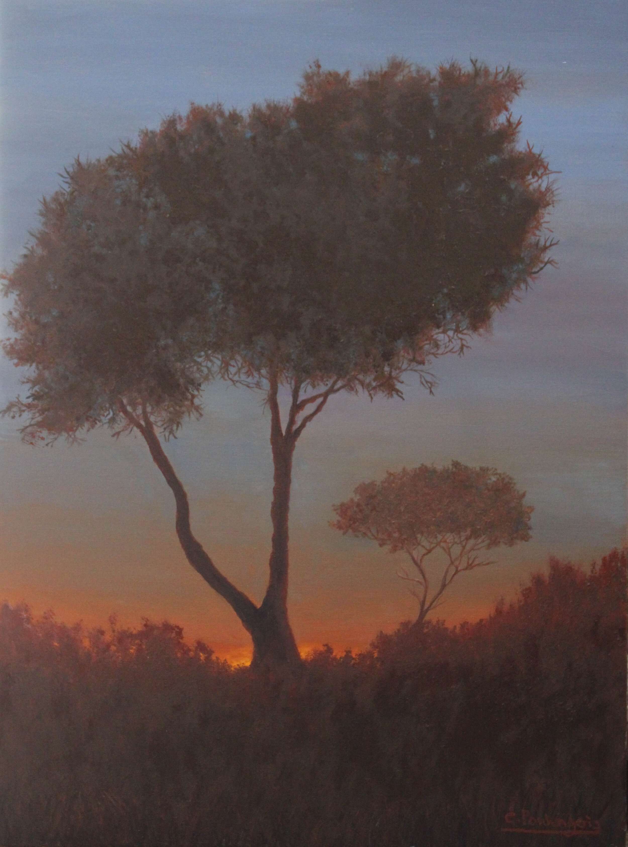 Italian Sunset by Christina Poulengeris