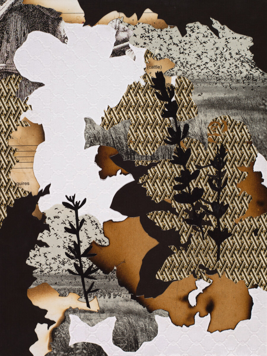 A Beautiful Disappointment by Lorelle Rau