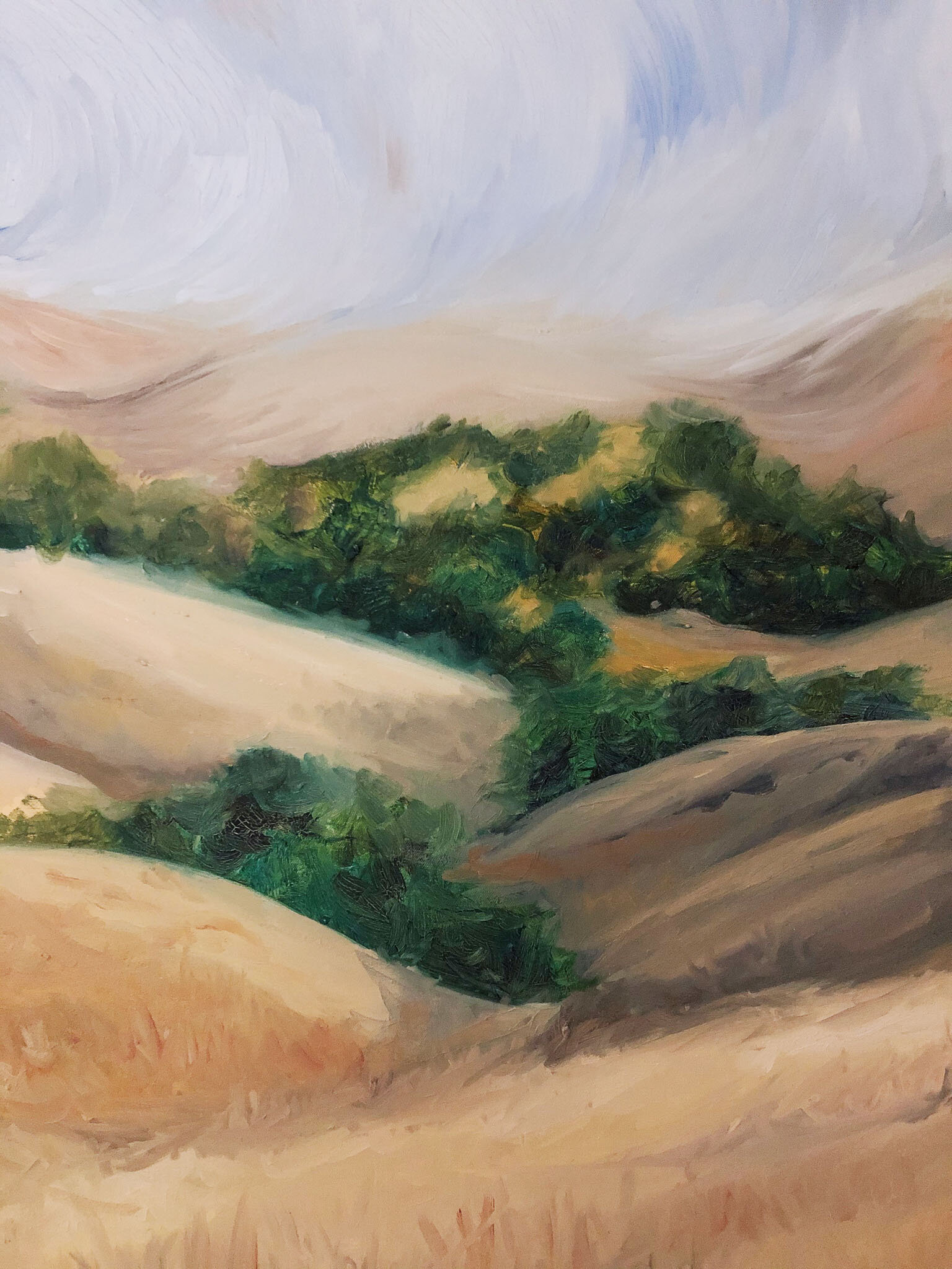 Held by Elizabeth Shanahan