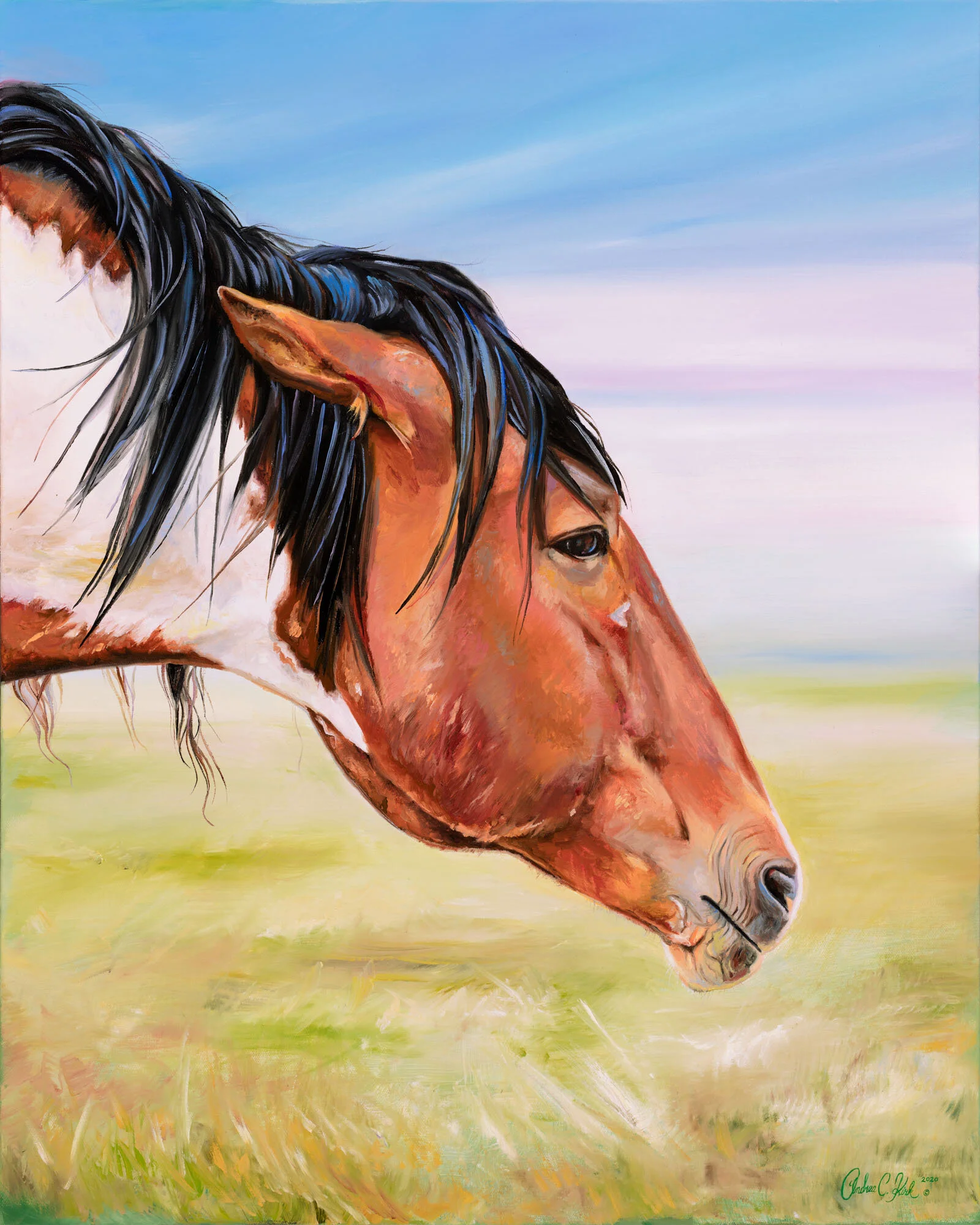 sage-steed.jpg