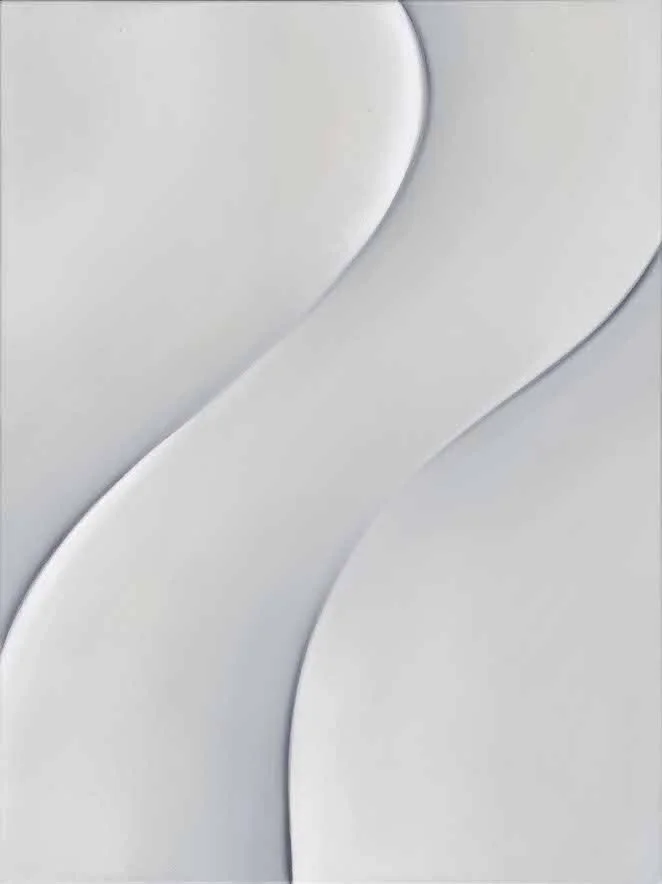 Swan_Echoes web.jpg