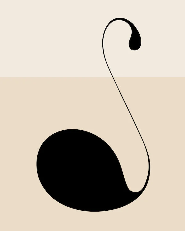 black swan web.jpg