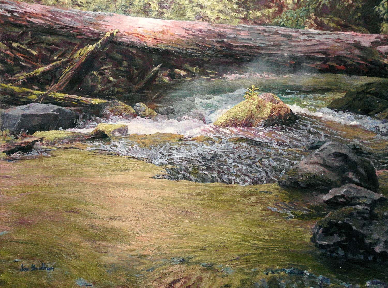 Meadow Creek Pool by Jon Bradham