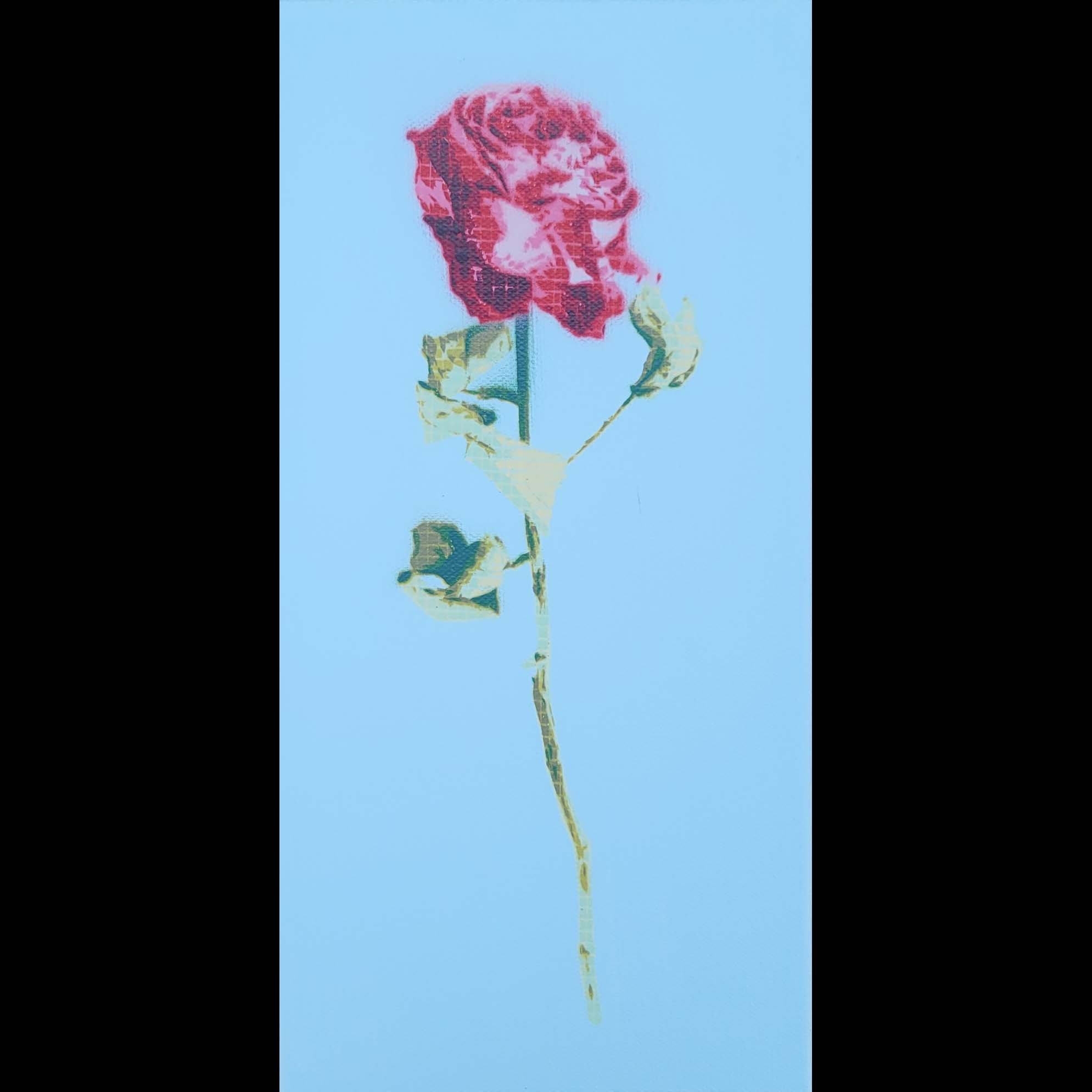 Forever Rose.jpg