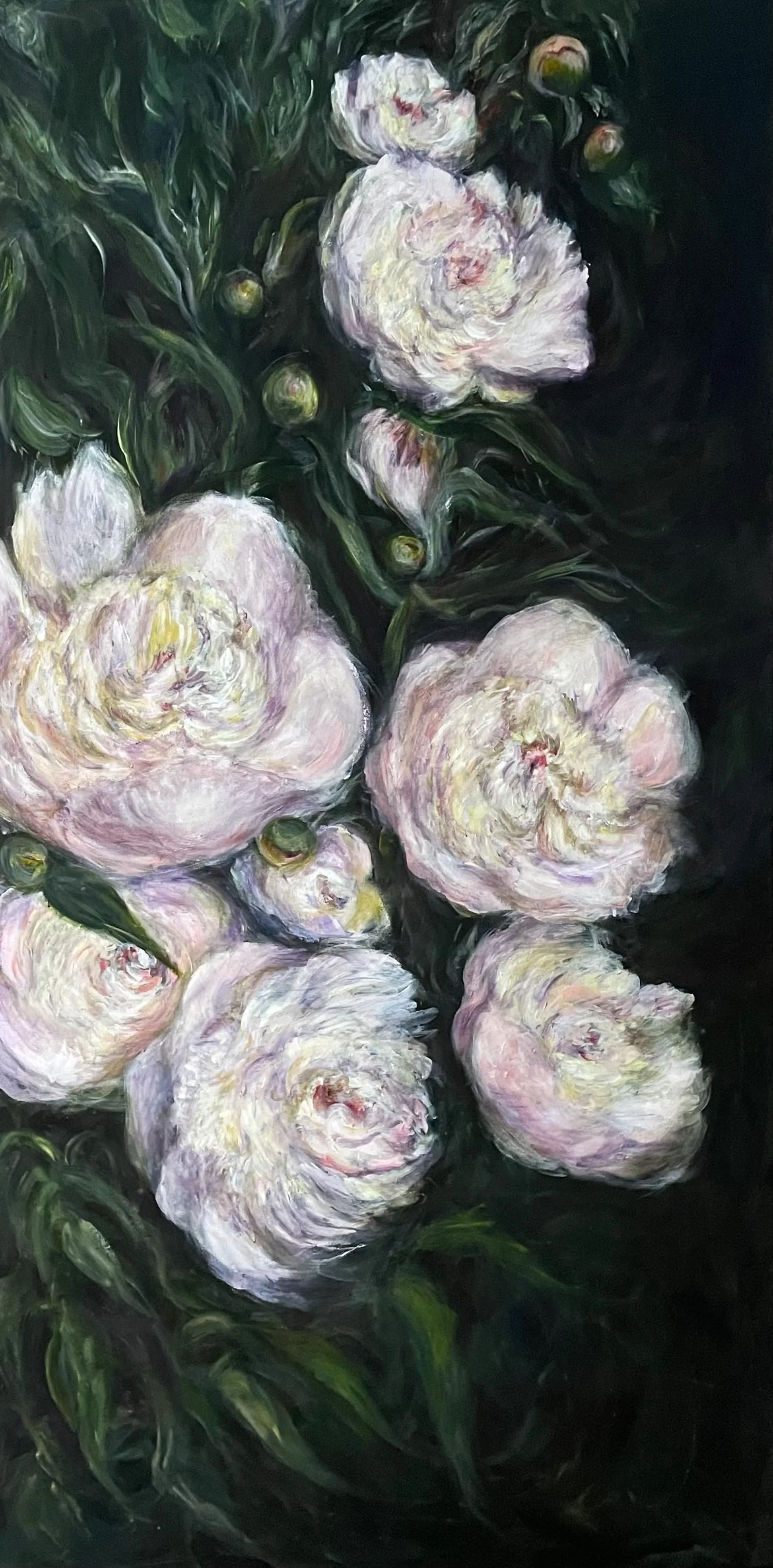 white peonies in bloom