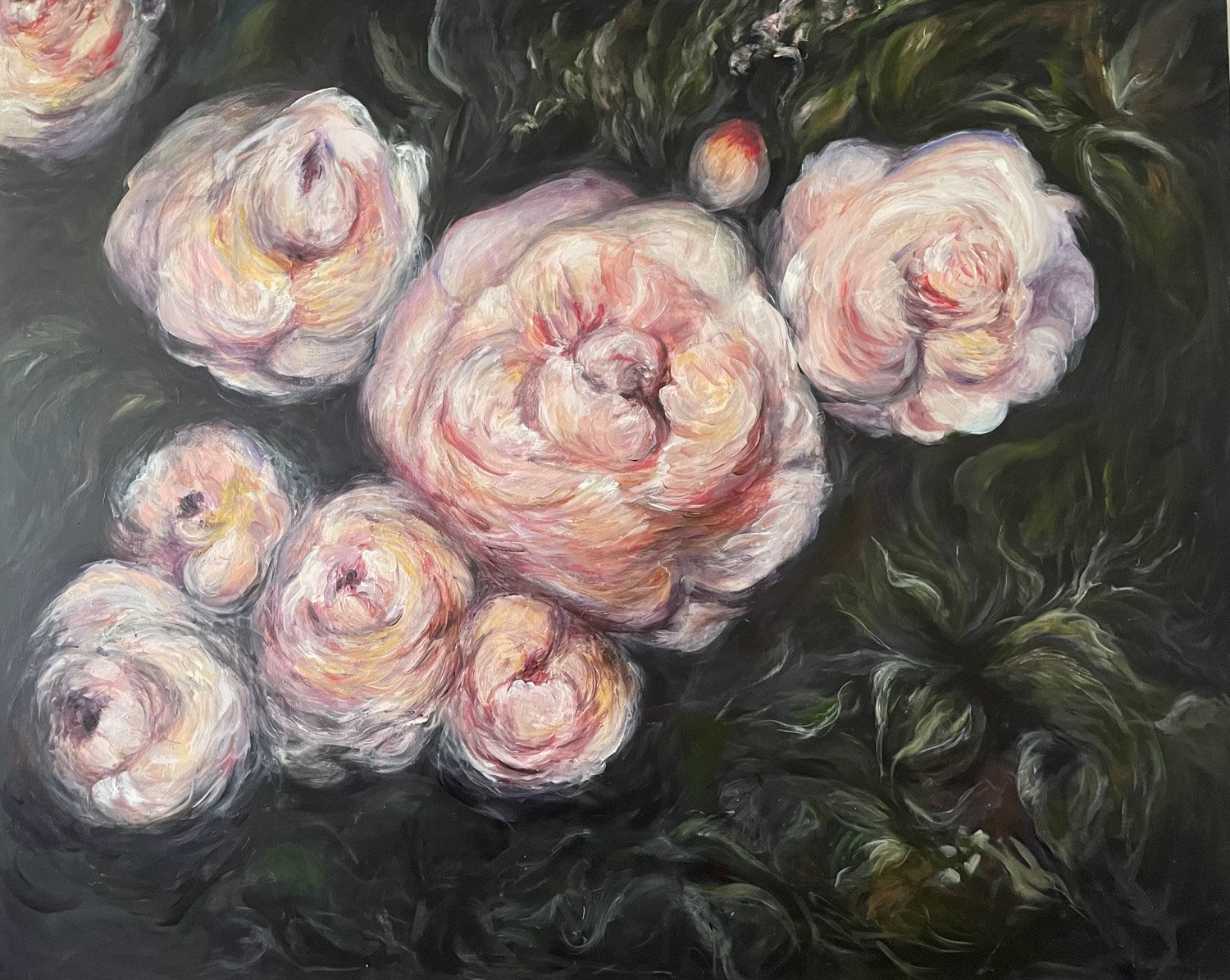 numerous white and pink peonies blooming