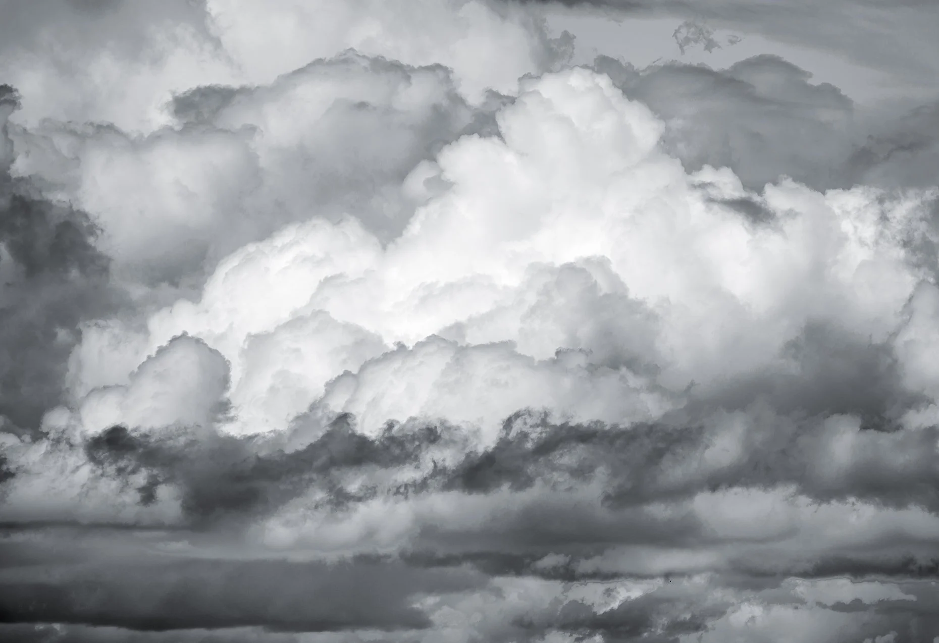 black and white photograph of cumulus clouds in a variety of sizes