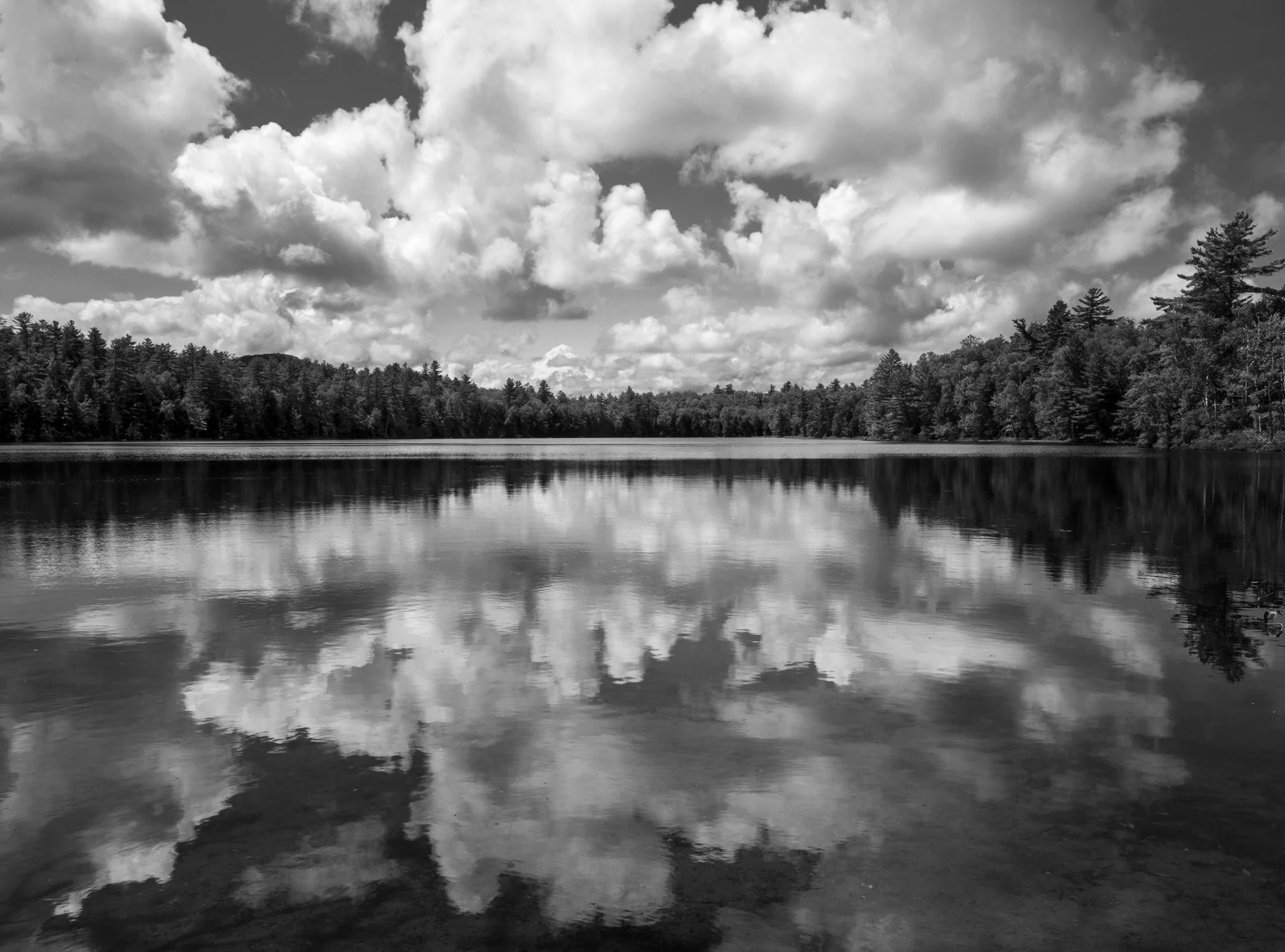 black and white photograph of clouds and woods reflected in lake