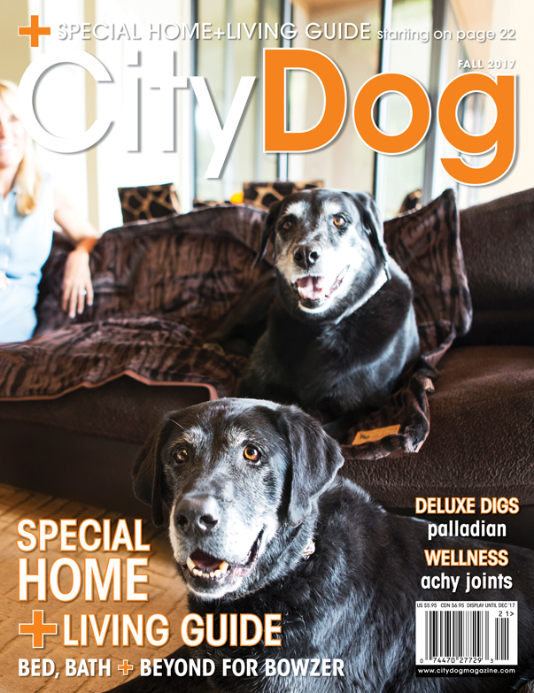 CityDog Magazine Fall 2017 Cover large for web.jpg