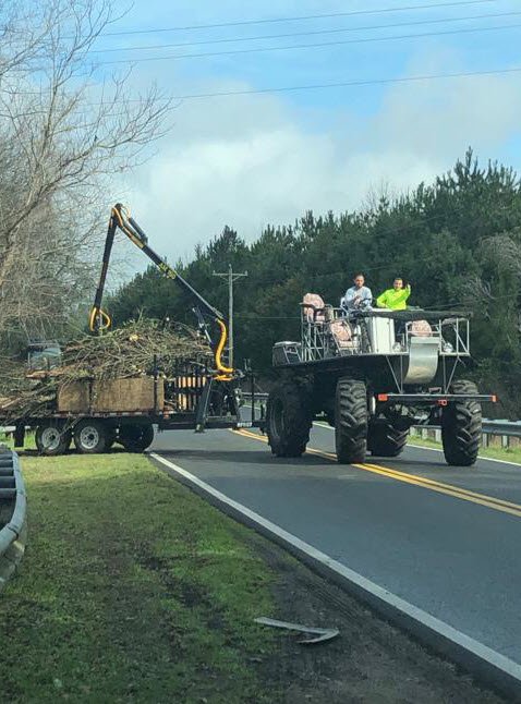 Aquatic Control Group Swamp Buggy.jpg