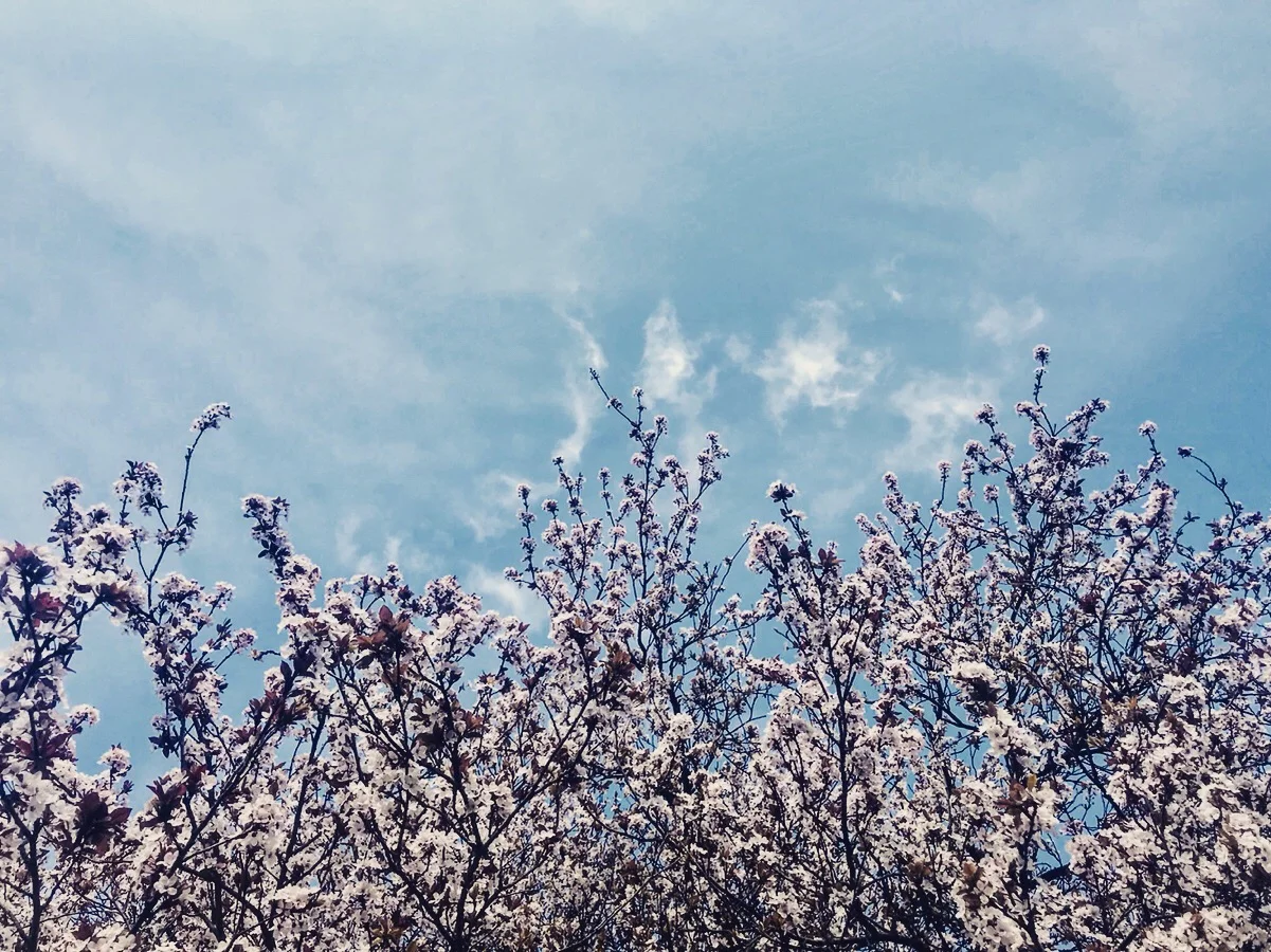 6 Practice to Help With Body Image Distress in Recovery