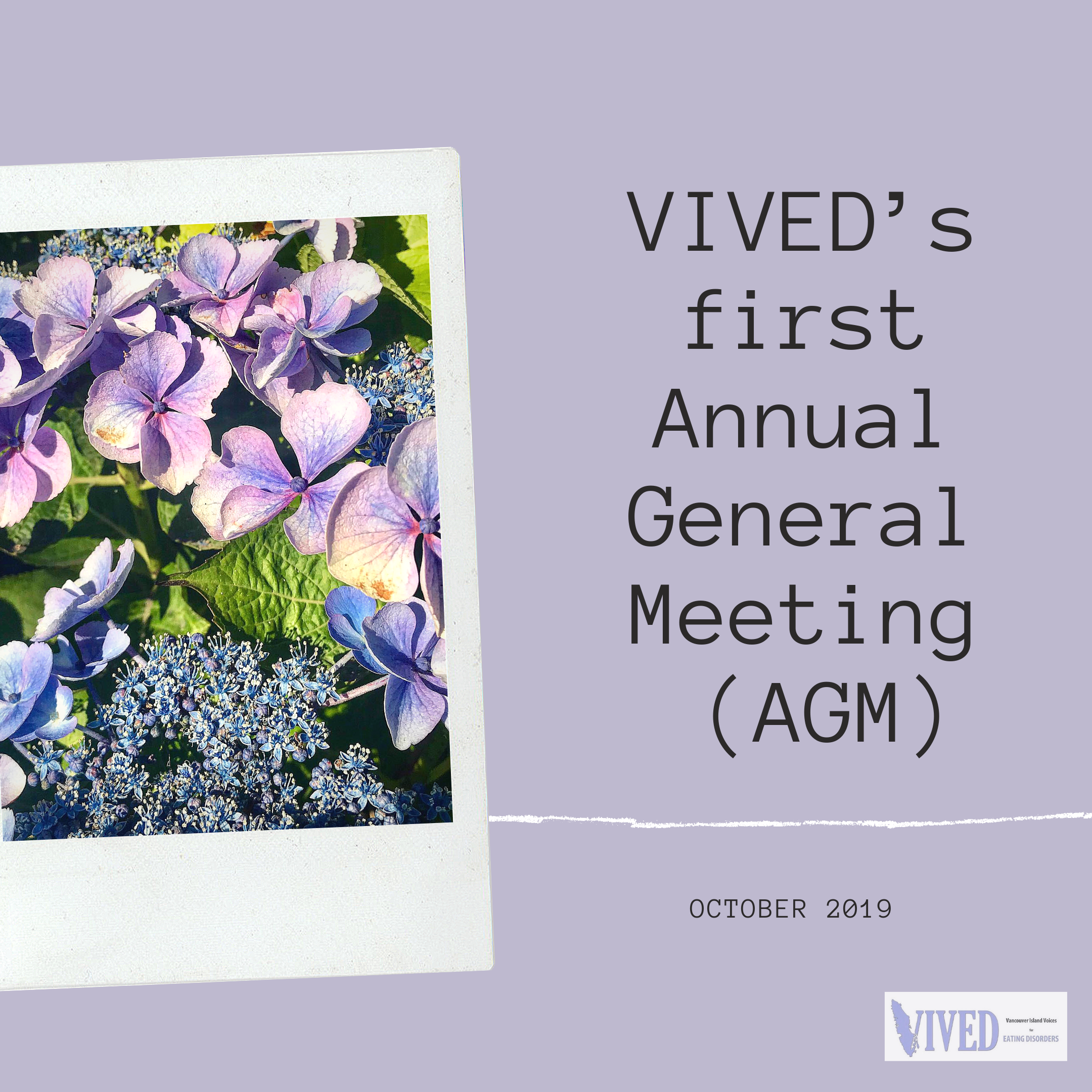 Annual General Meeting