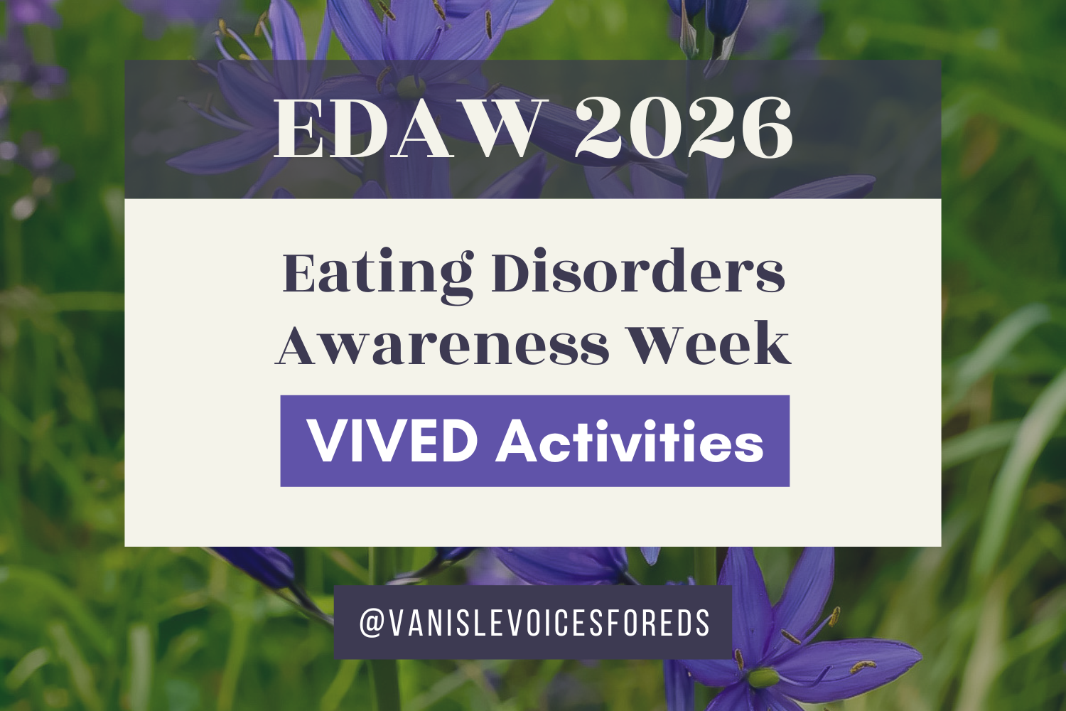 EDAW 2026: VIVED Activities