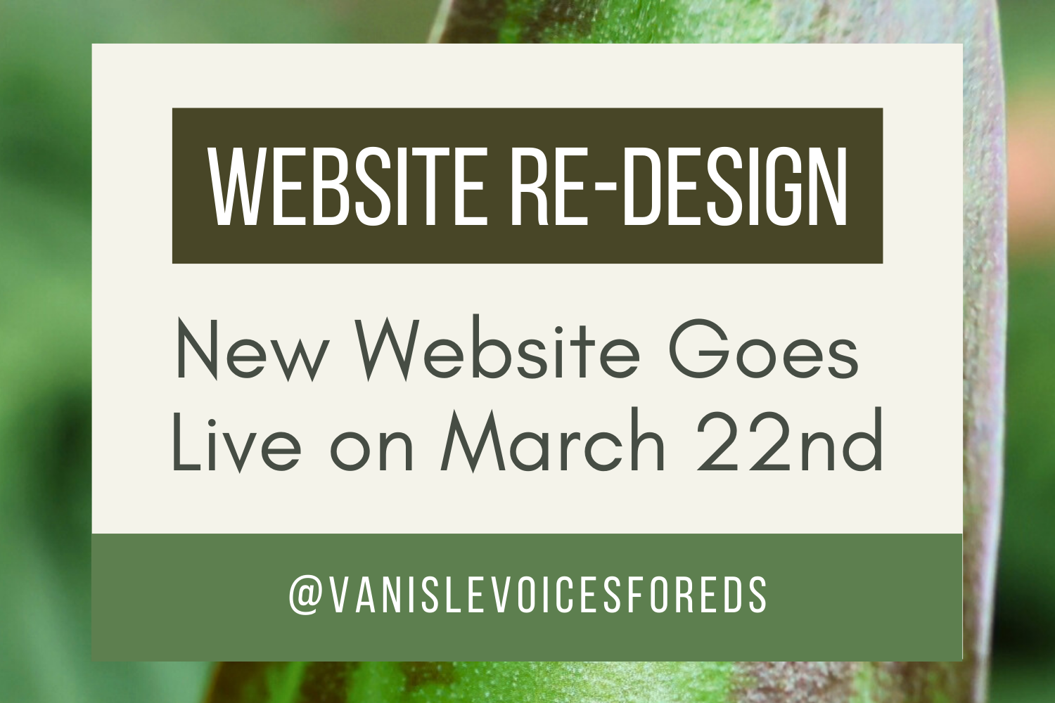 Website Re-design Goes Live on March 22nd