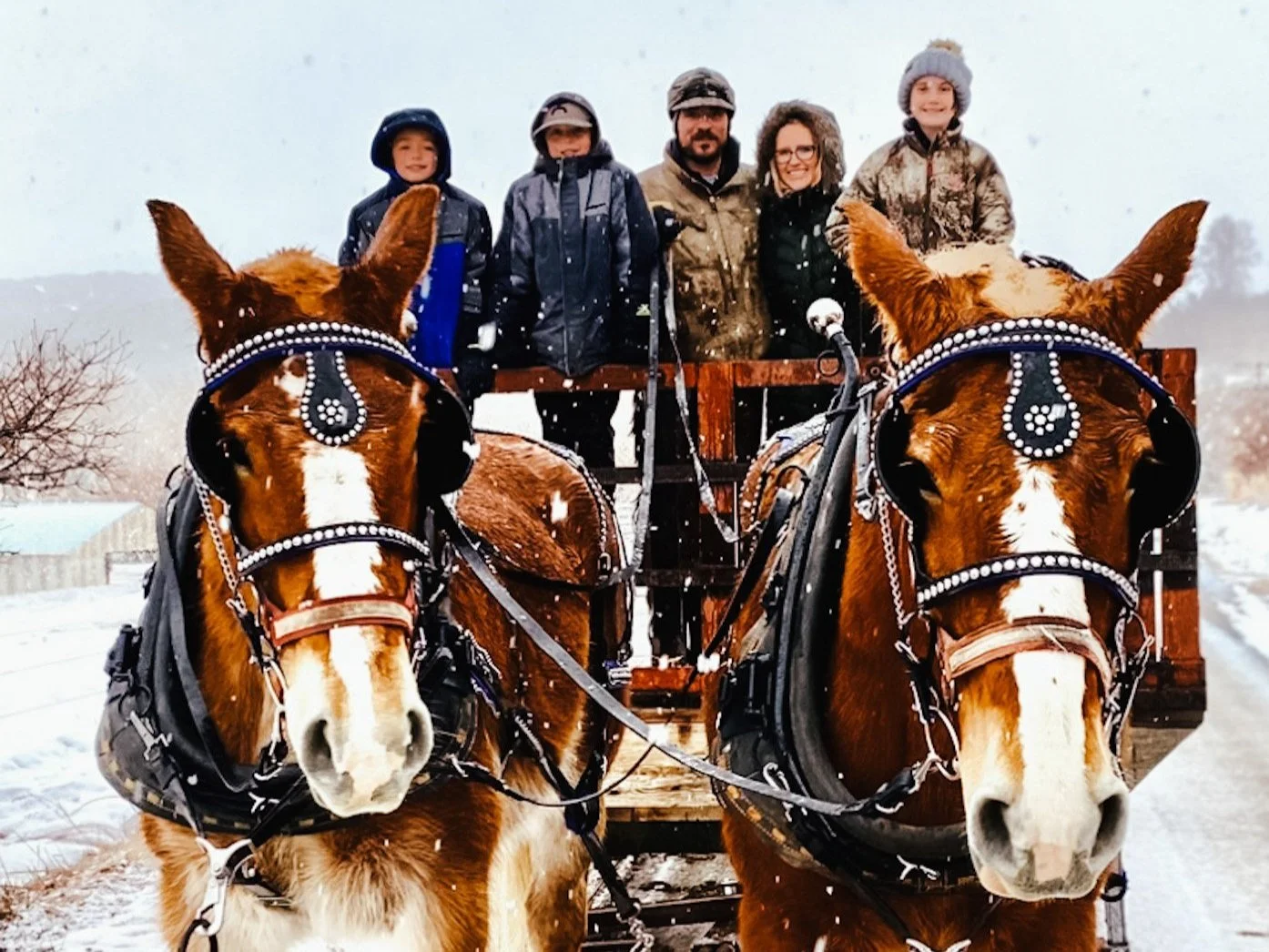 Sleigh Rides — Rivers Bend Outfitters