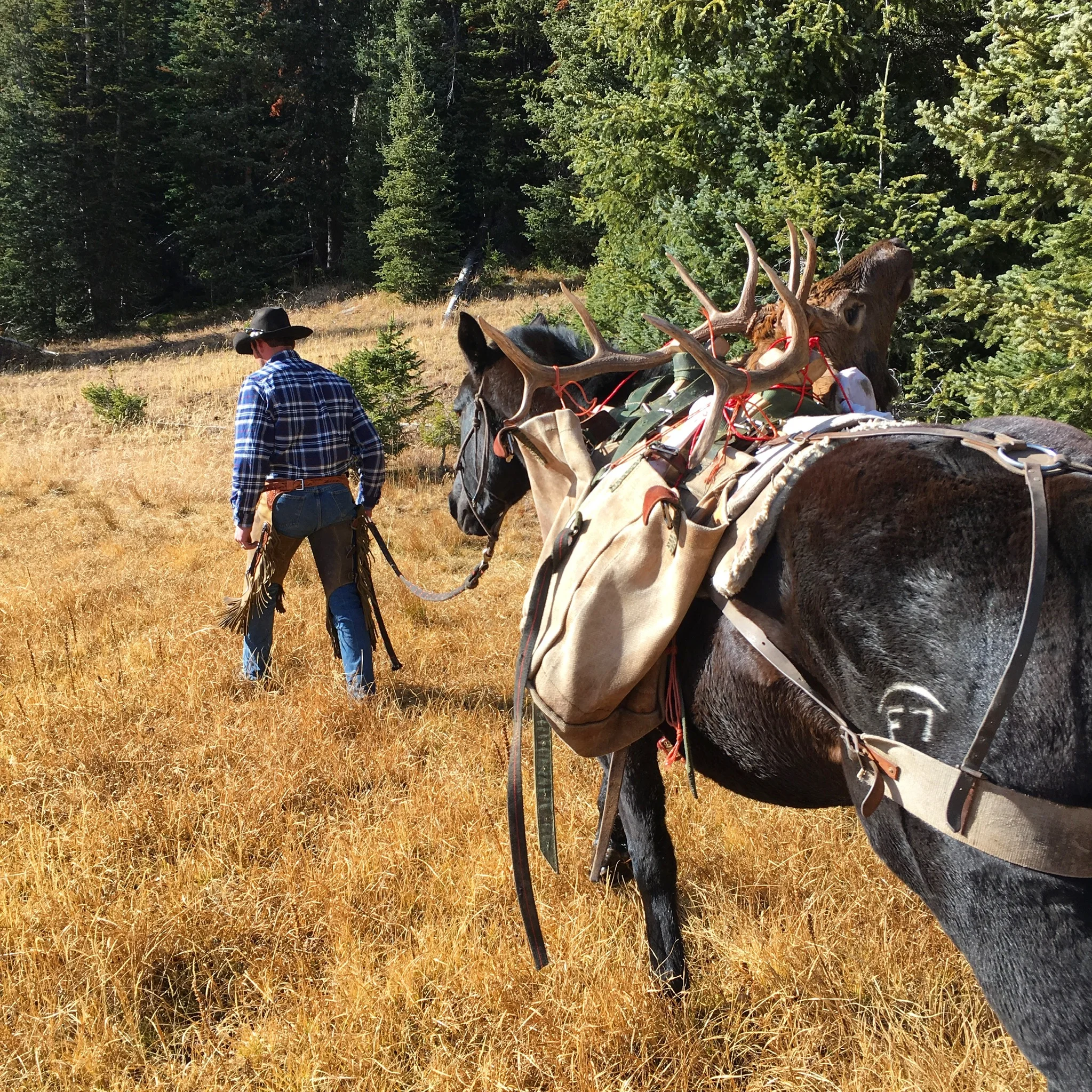 Gallery — Rivers Bend Outfitters