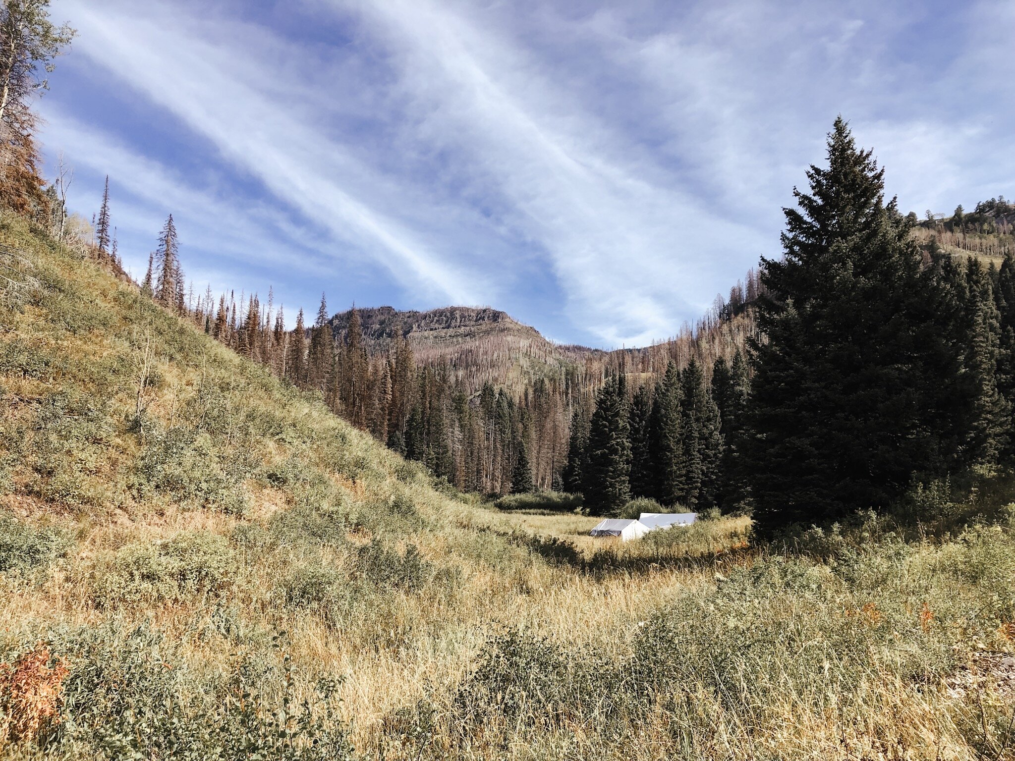 Muzzleloader/Rifle — Rivers Bend Outfitters