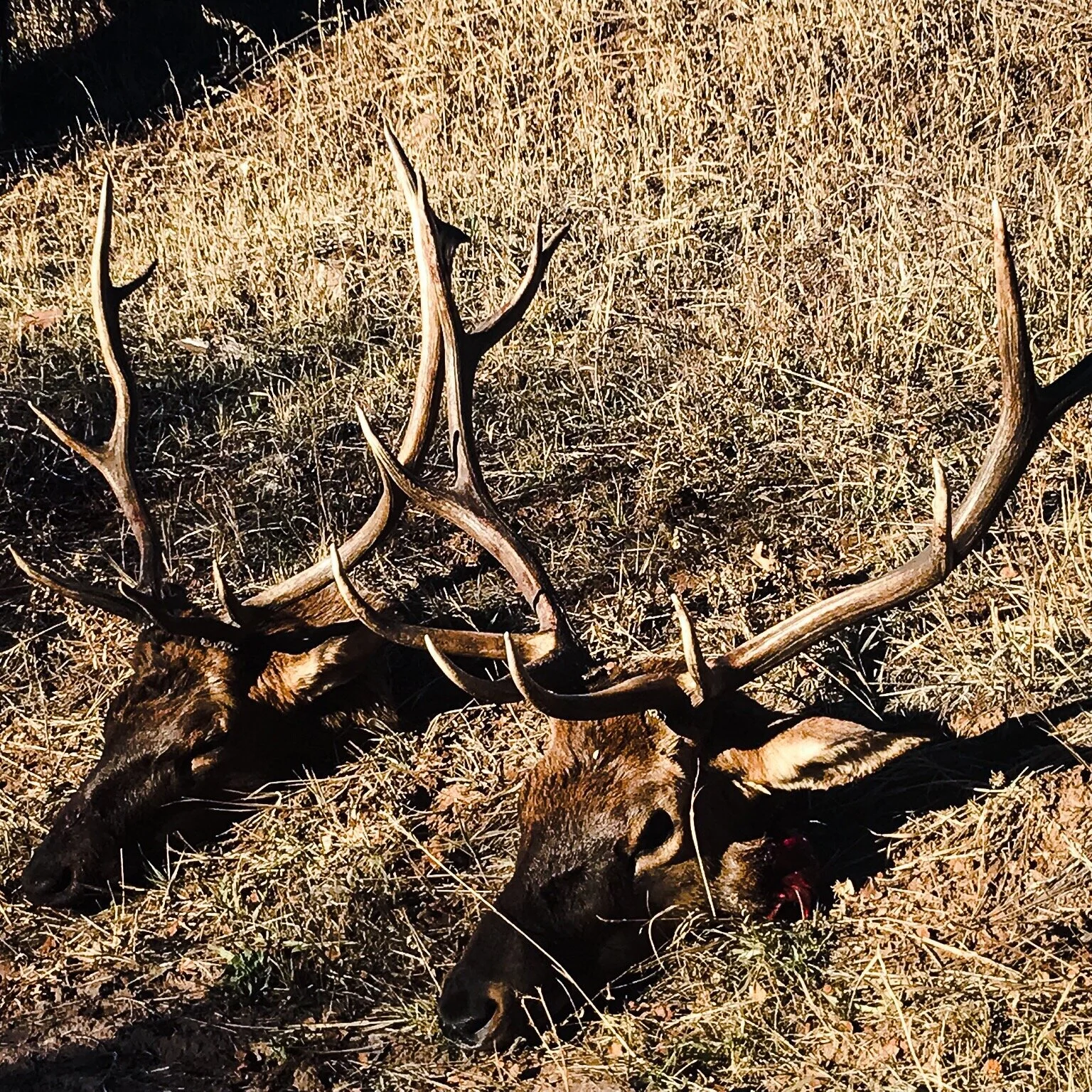 Gallery — Rivers Bend Outfitters