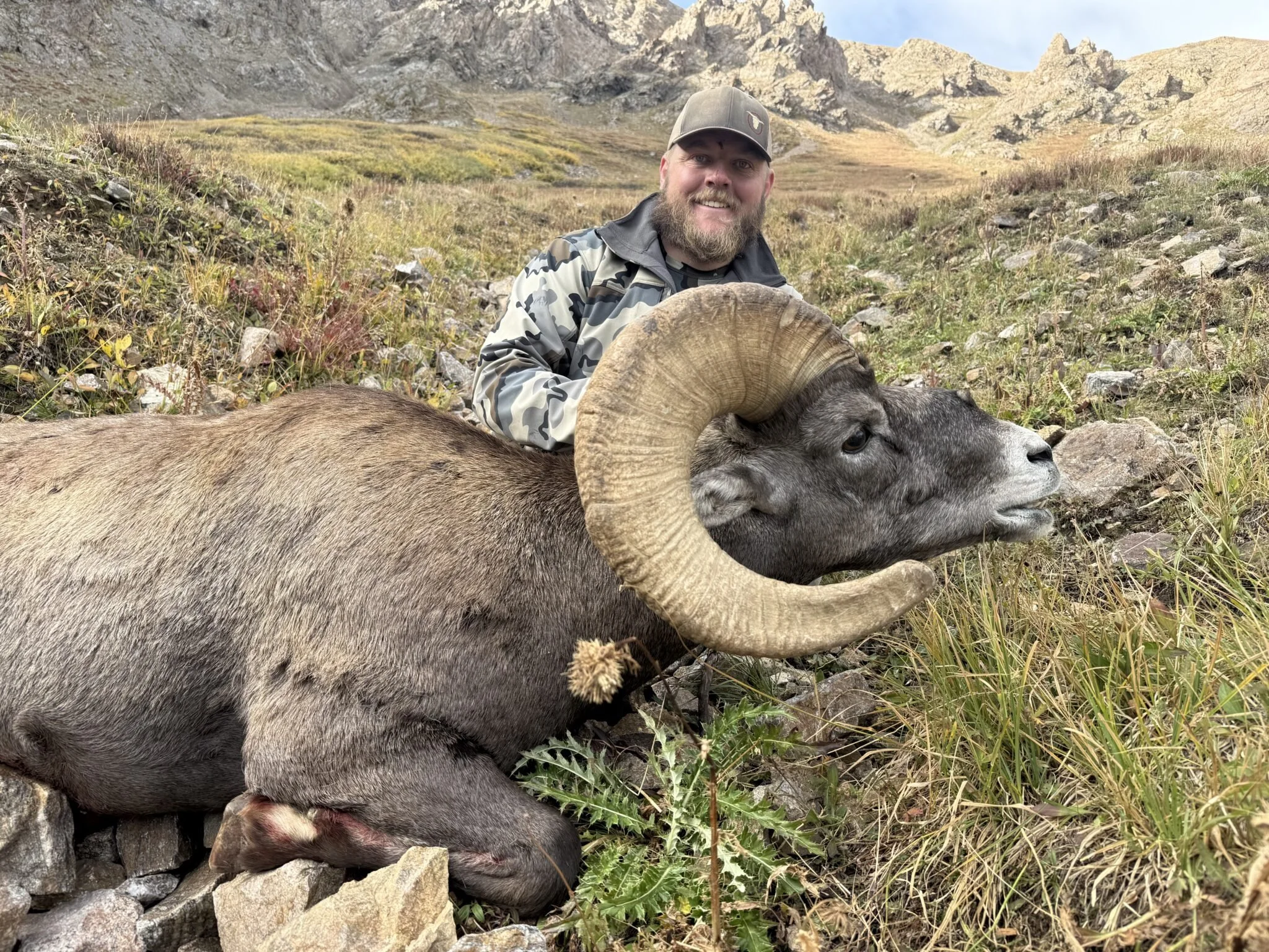 2026 Colorado Bighorn Sheep, Mountain Goat, and Moose Recommendations