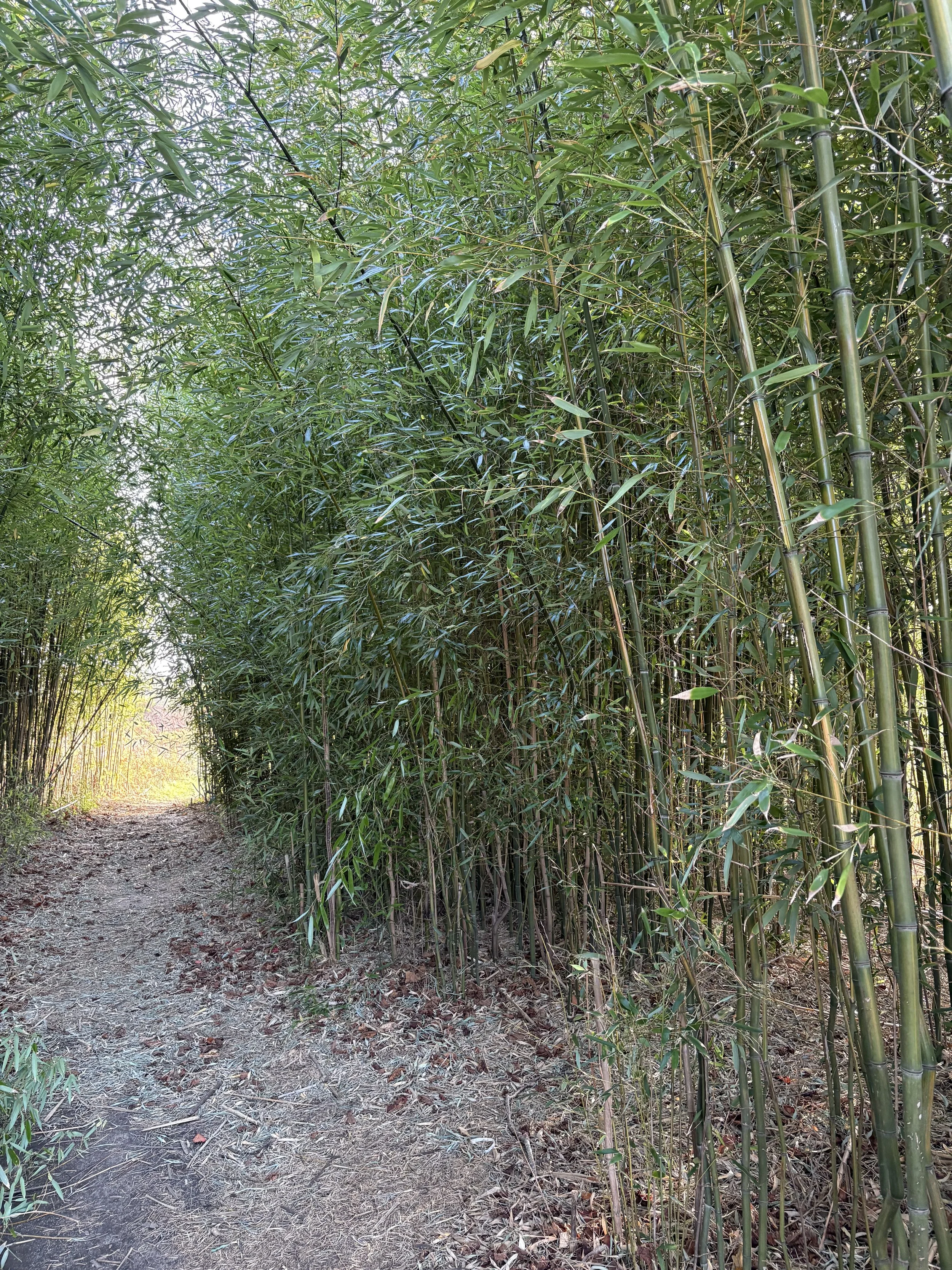 Your Soul Expands at The Edge