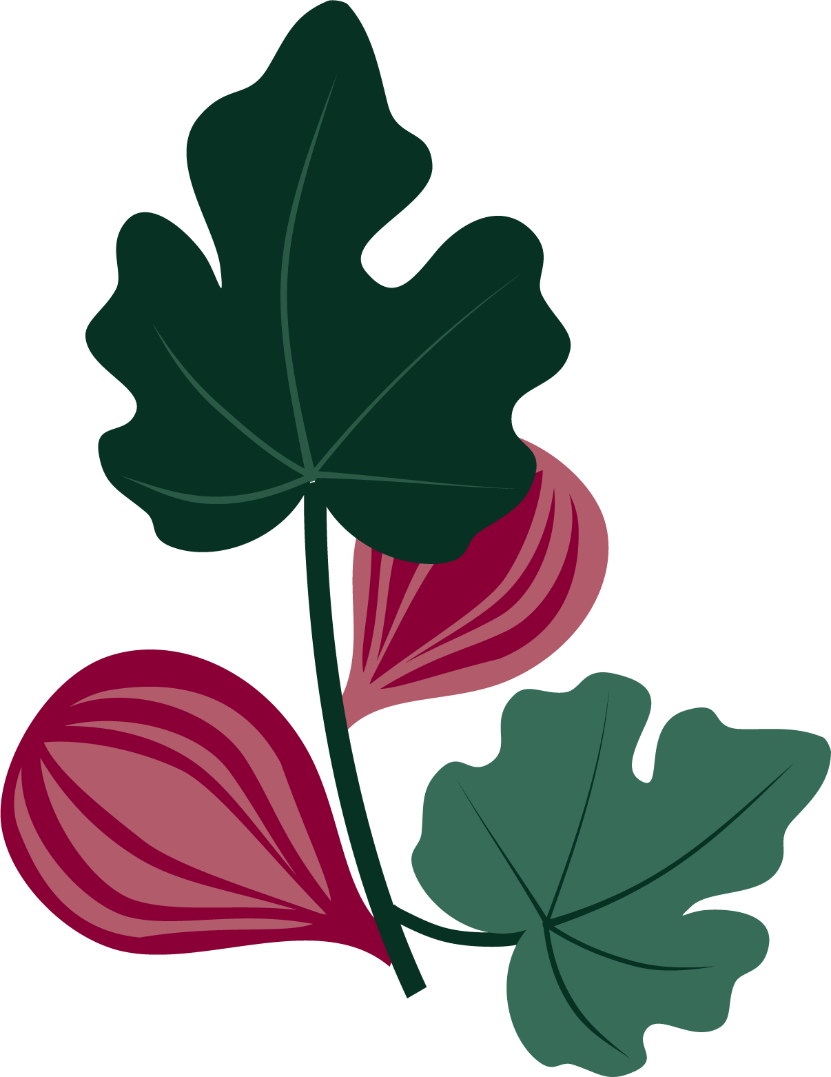 Branch.png