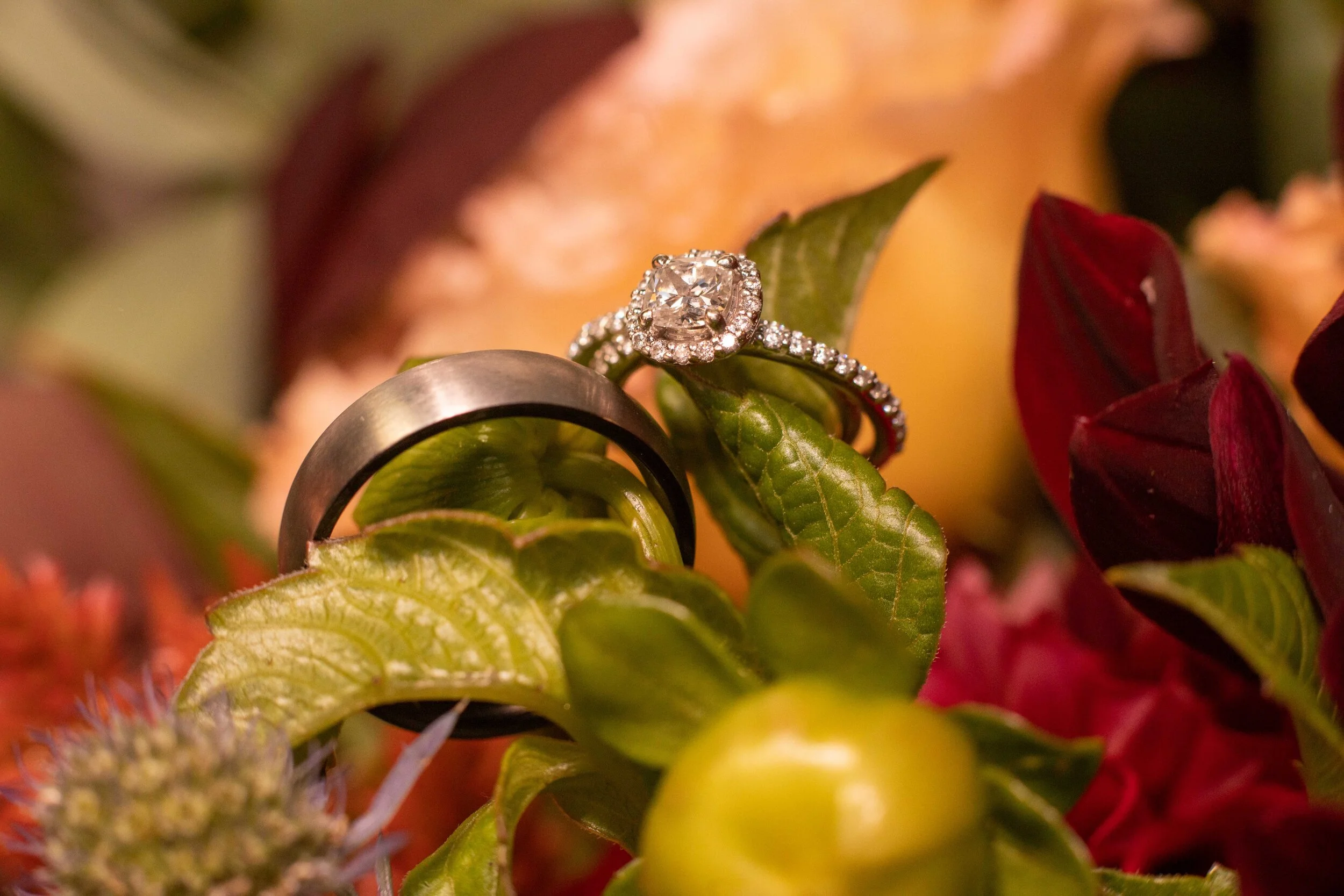 CarrWedding2020-WEB-SP12.jpg