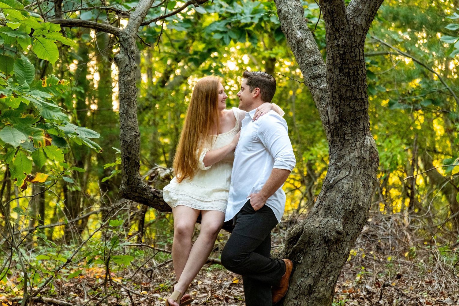 Kayla and Ethan engaged couple sitting in tree natural pose Odiorne Point State Park New Hampshire engagement photography VMG Productions