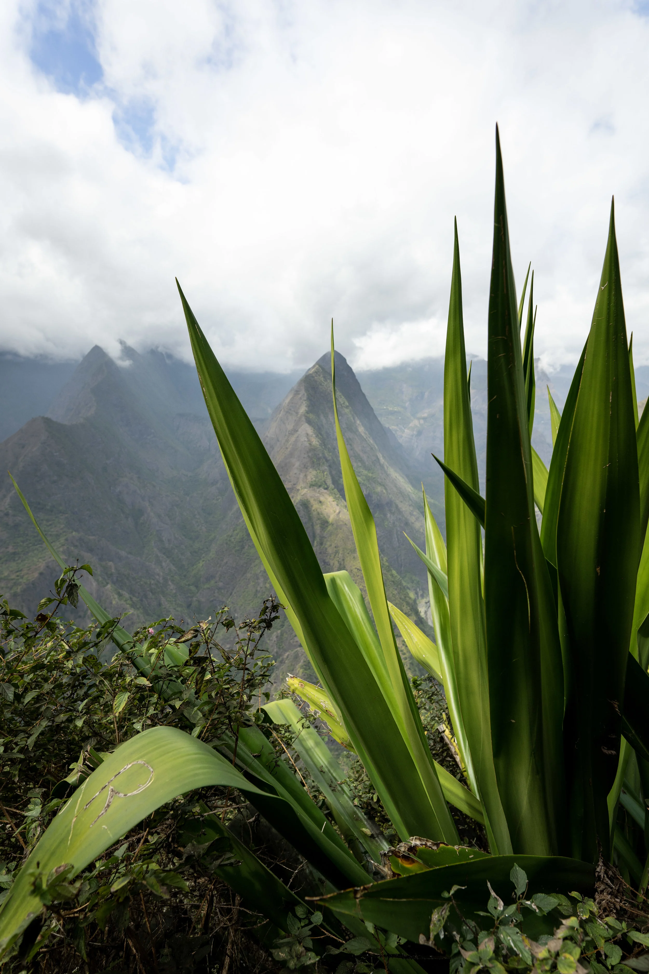 Cap Noir, Réunion, Mafate.jpeg