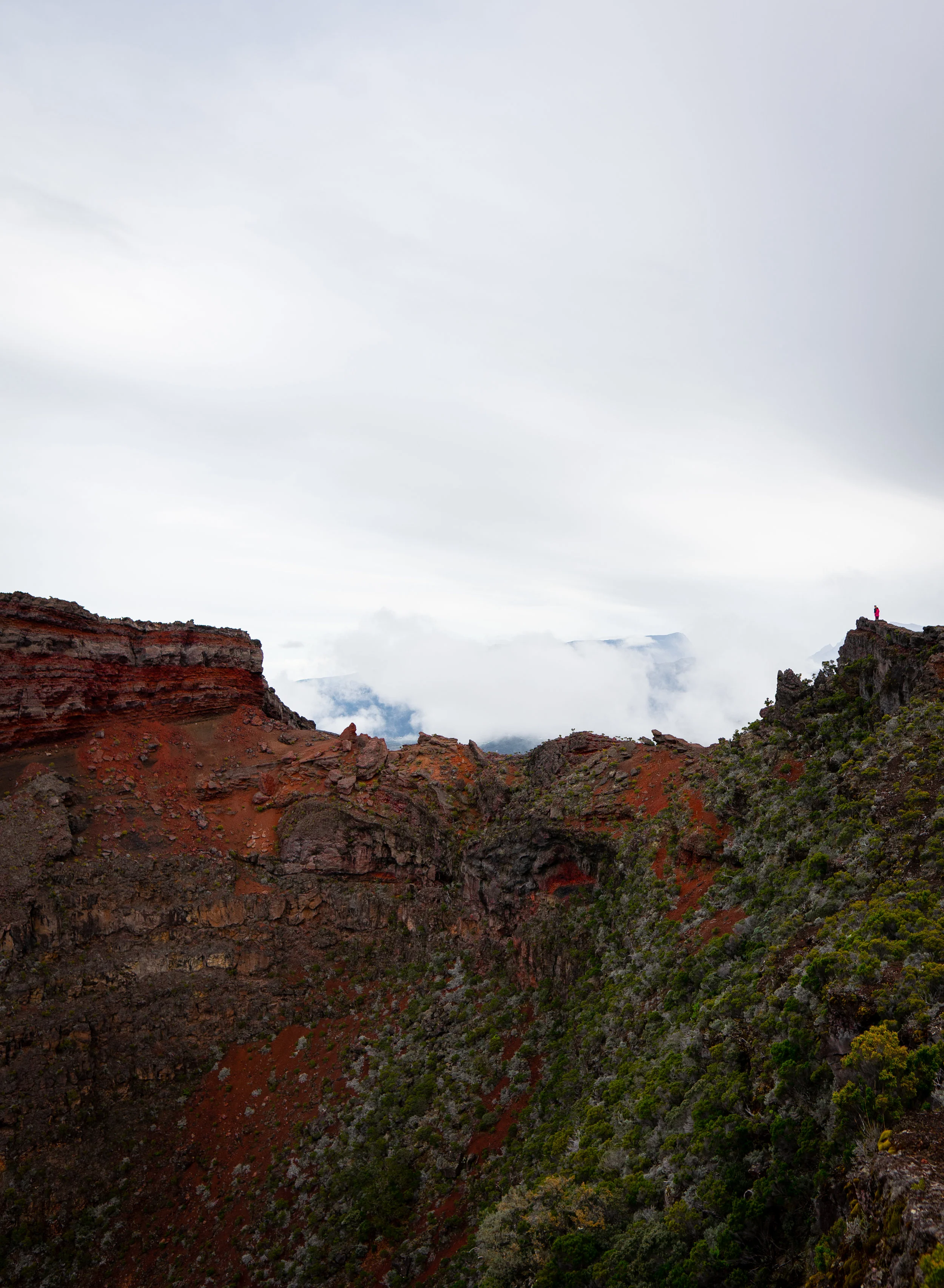 DSC02632.jpg