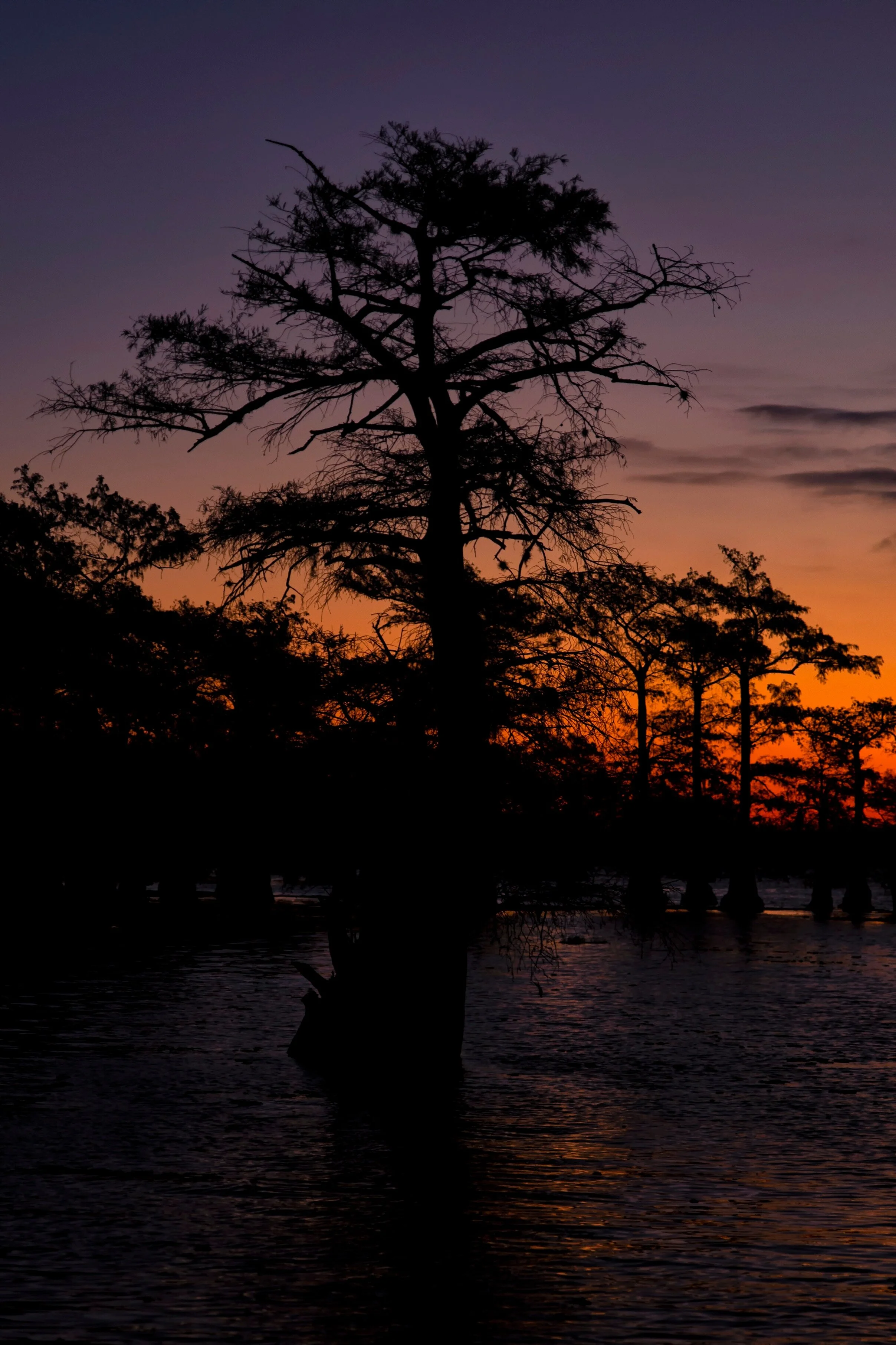 DSC_2285.jpg
