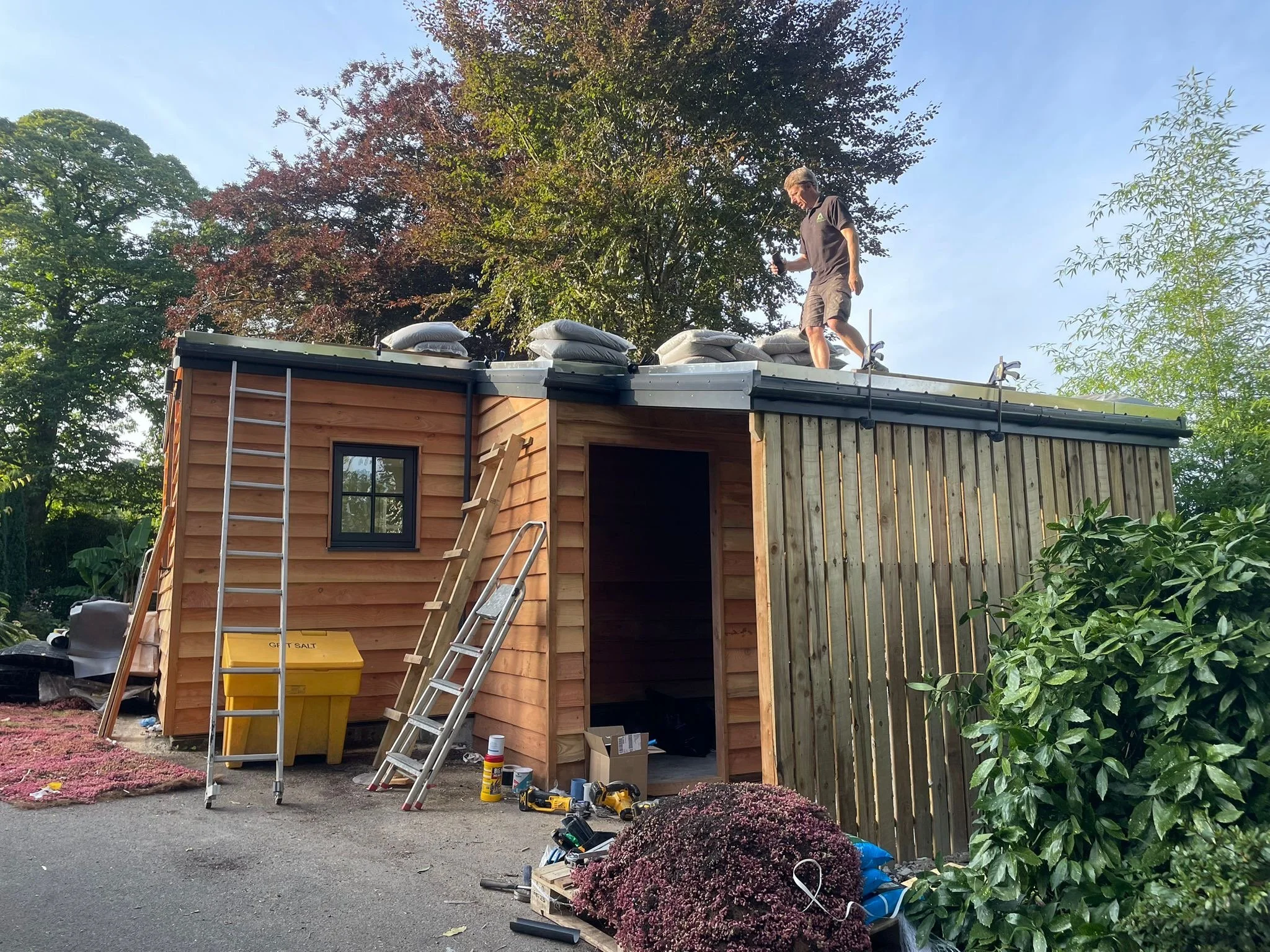 78867d17-4d9c-40e7-8cc9-c9ab03b85434 3.JPG