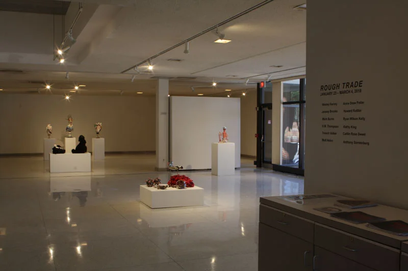 Gallery View