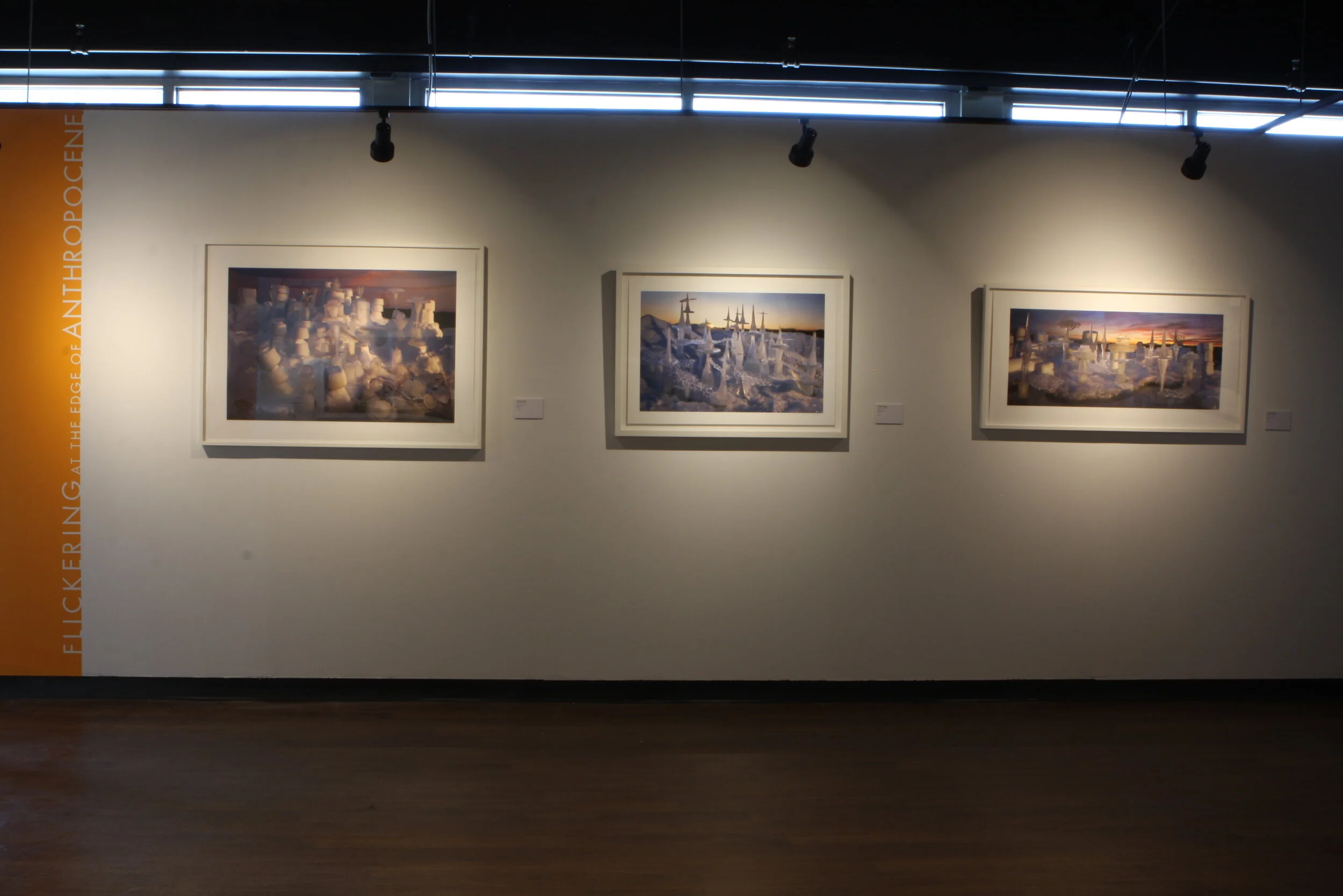 Gallery View