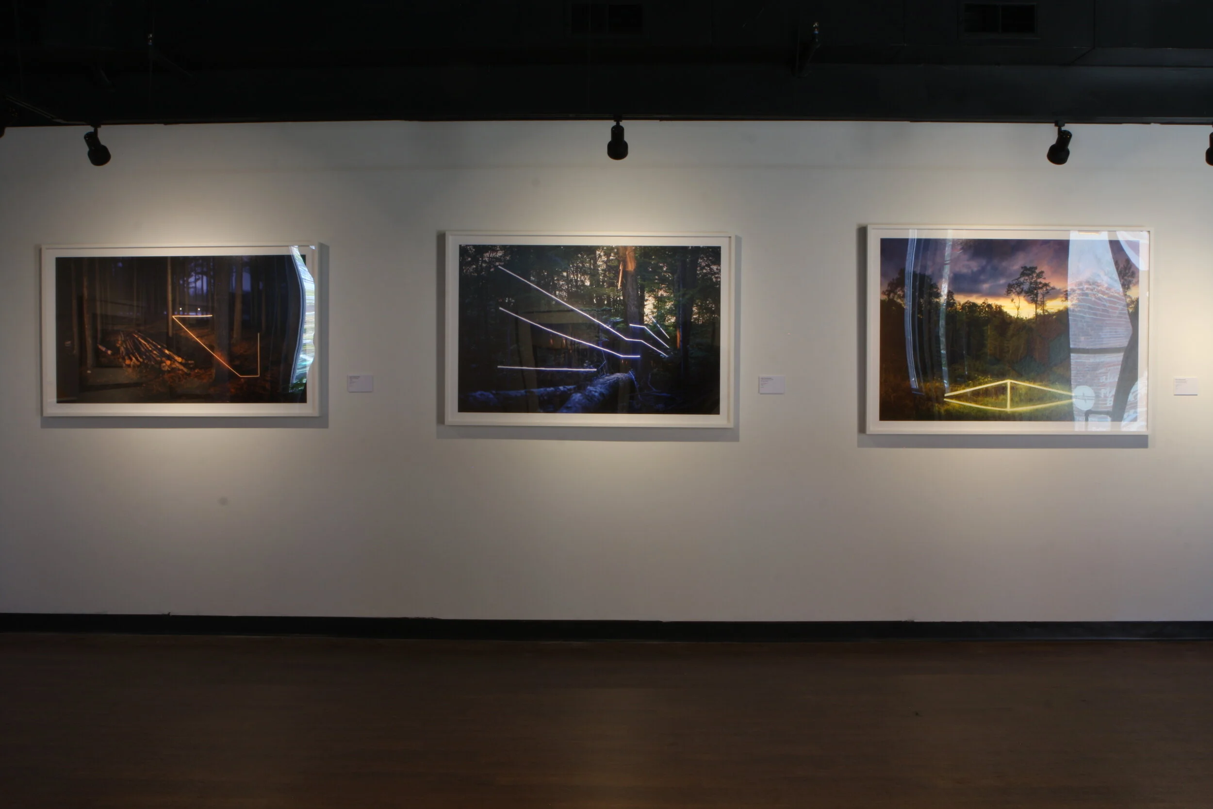 Gallery View