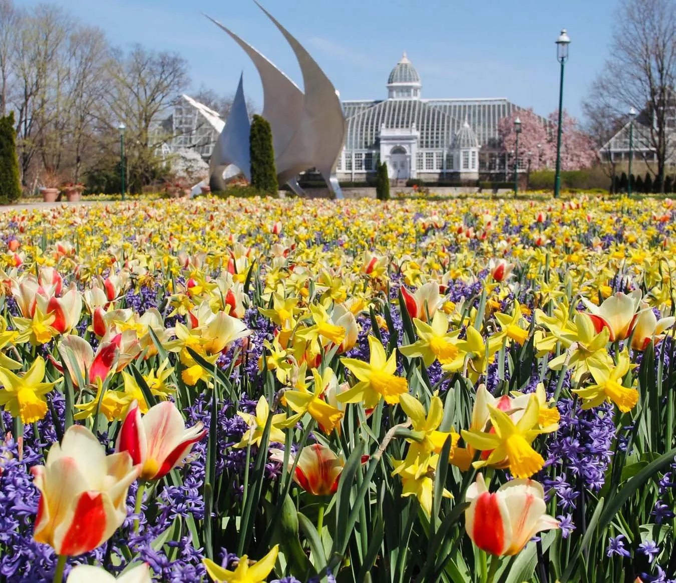 top-attractions-in-columbus-franklin-park-conservatory-and-botanical-gardens__1350x1165.jpg