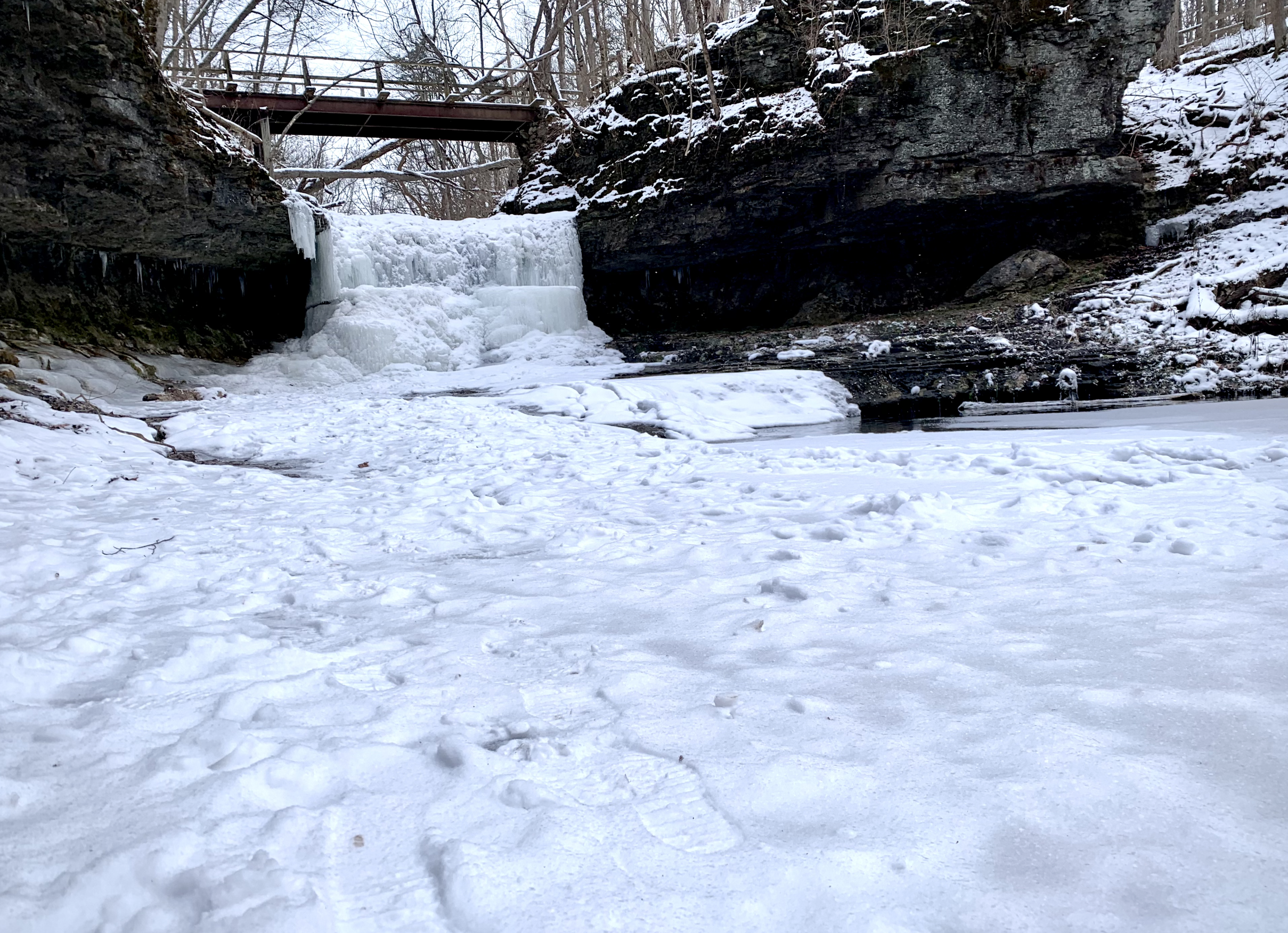 JANUARY 2024 NEWSLETTER