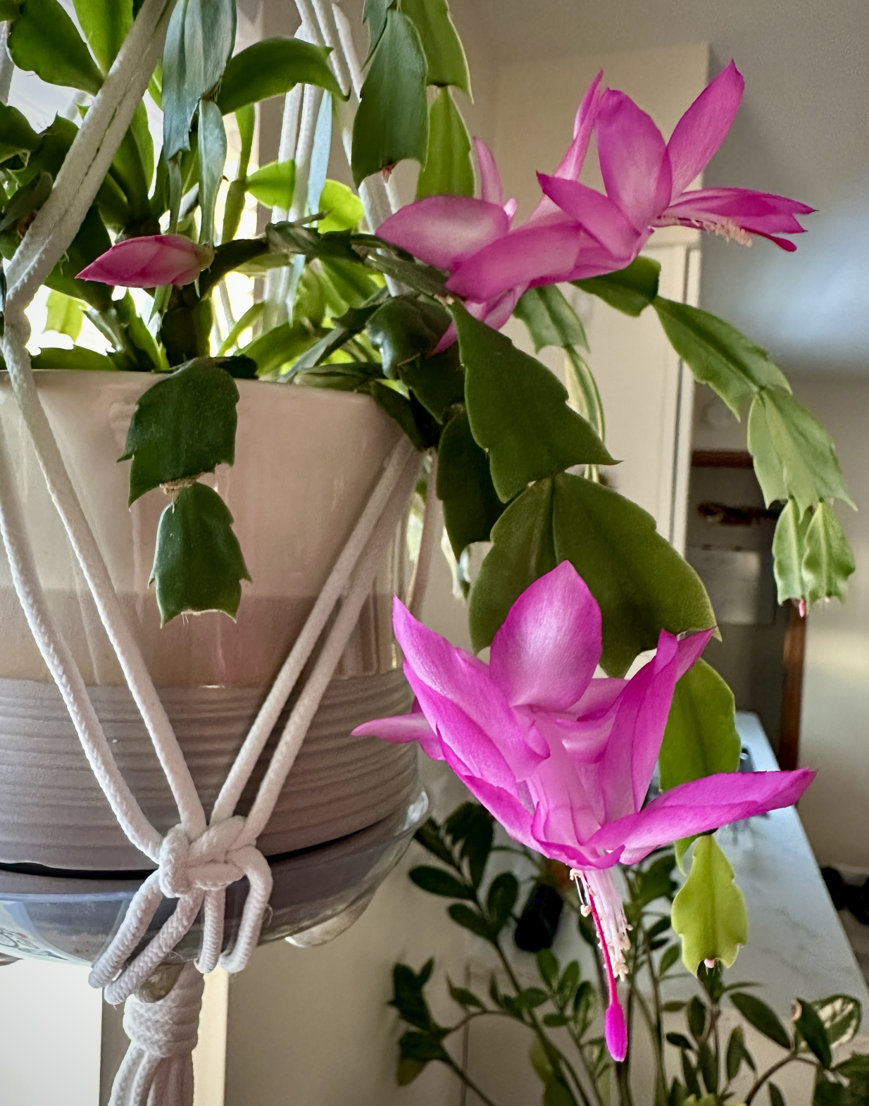 PHOTOGRAPHY, WINTER 2025 NEWSLETTER