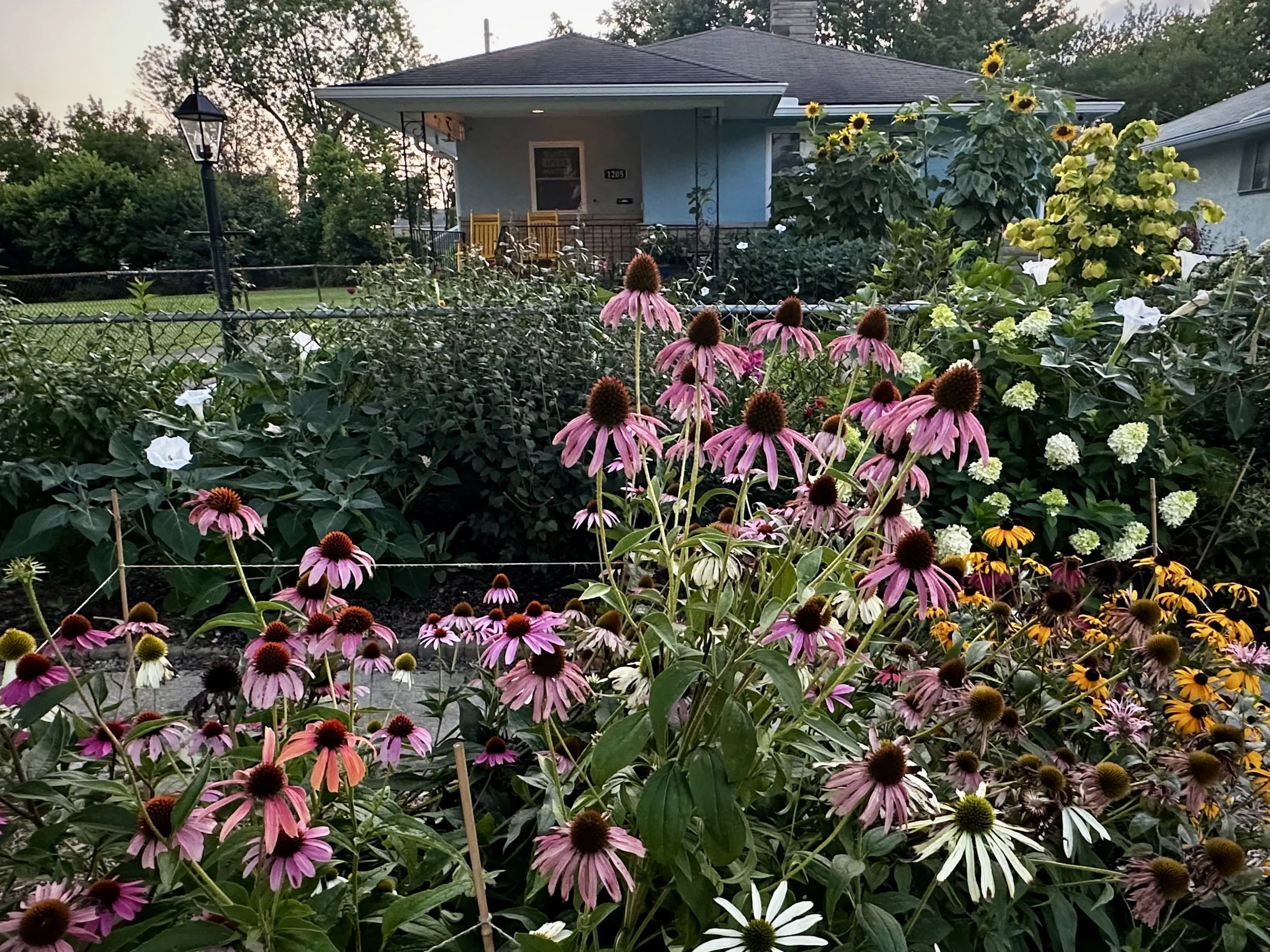 View from the street.