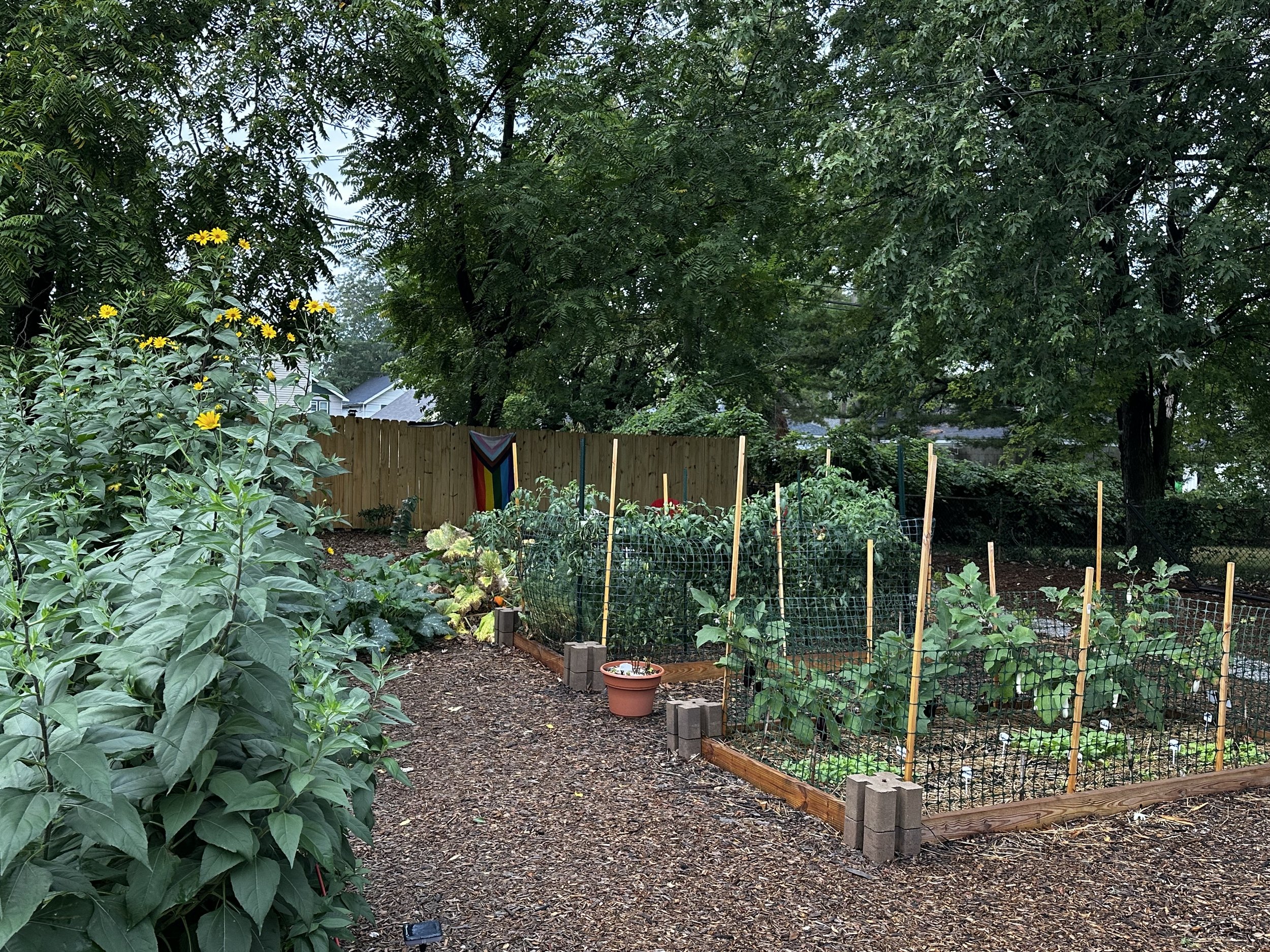 It was an abundant first season!