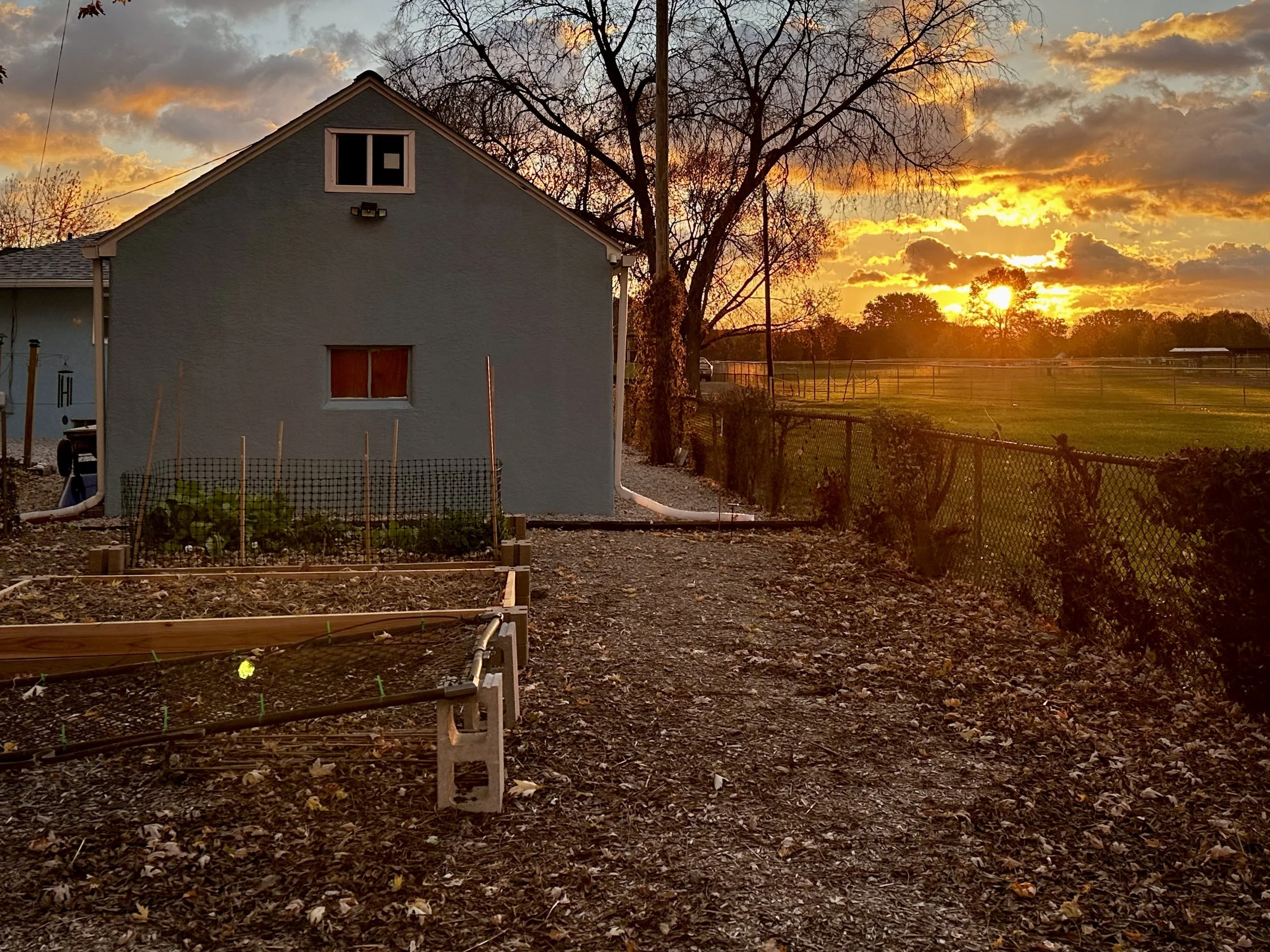 Sunrise after the first frost of fall 2025.