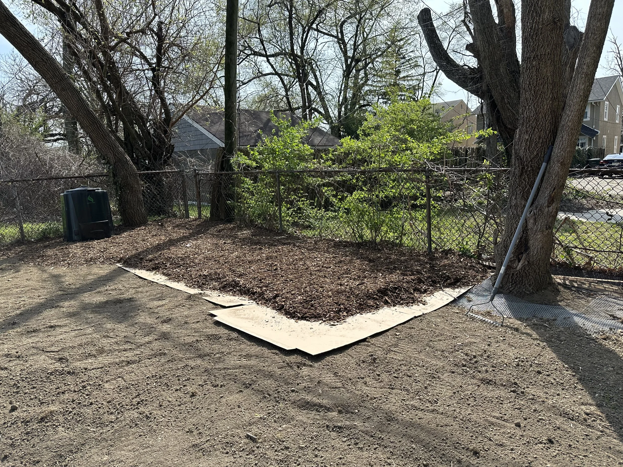 Cardboard + wood chip mulch is an effective, biodegradable weed barrier 