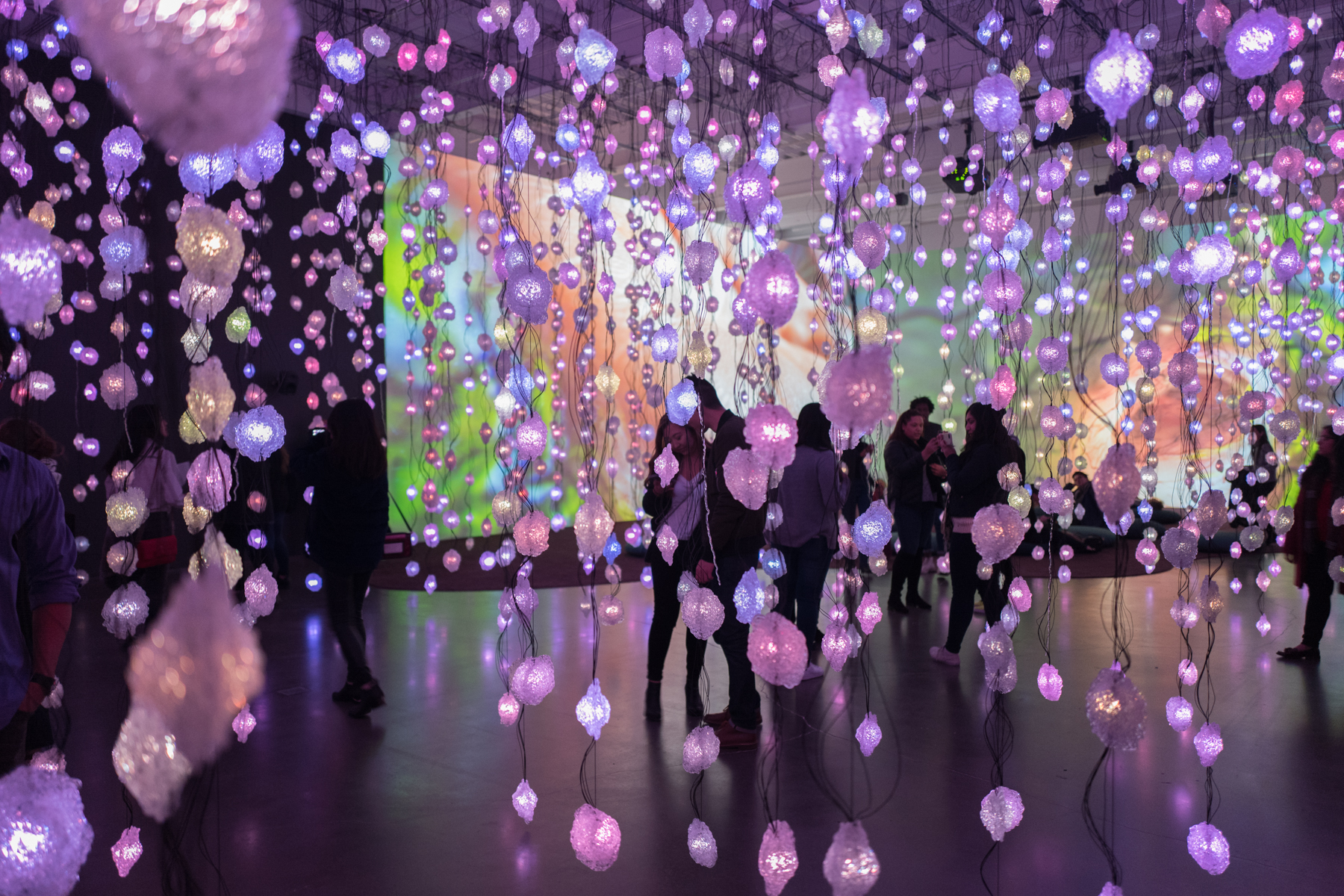 Pipilotti Rist: Pixel Forest at the New Museum  | Client: Duggal Visual Solutions