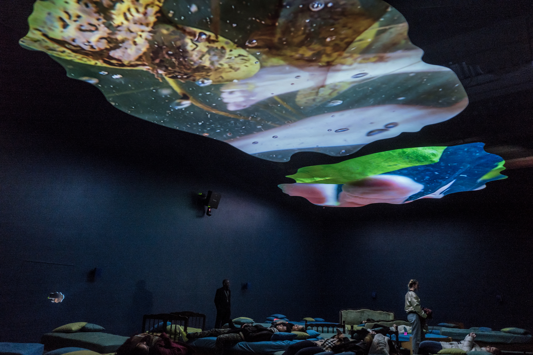 ﻿﻿Pipilotti Rist: Pixel Forest at the New Museum  | Client: Duggal Visual Solutions